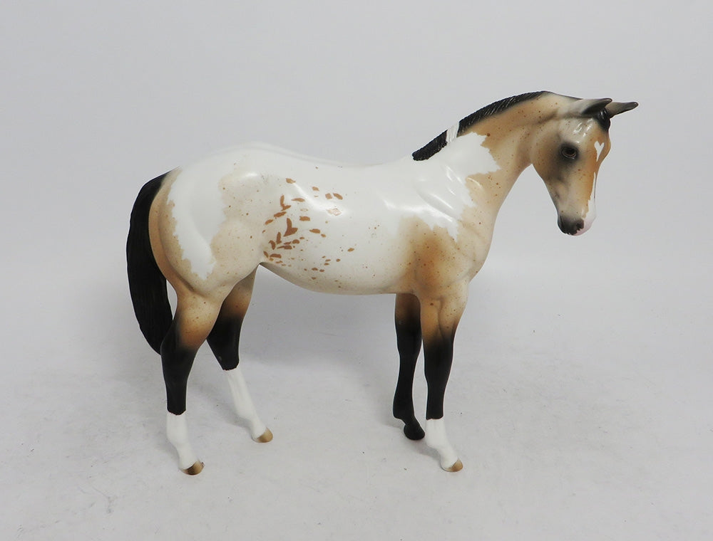 EPHILEDES-LE-15 CUSTOM WEANLING BUCKSKIN PINTALOOSA WHS2018