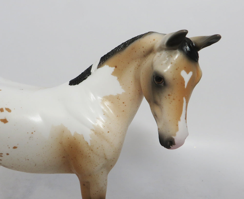 EPHILEDES-LE-15 CUSTOM WEANLING BUCKSKIN PINTALOOSA WHS2018