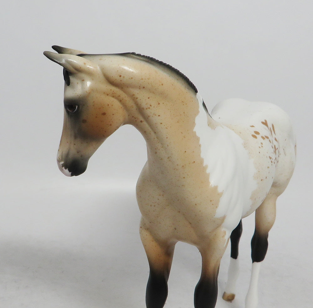 EPHILEDES-LE-15 CUSTOM WEANLING BUCKSKIN PINTALOOSA WHS2018