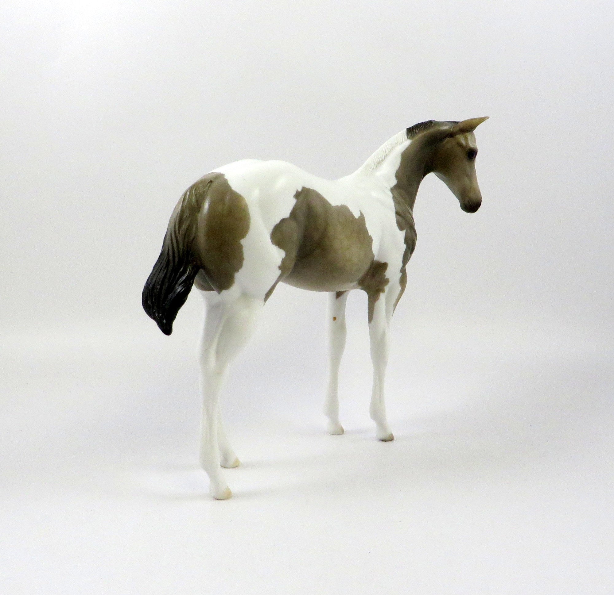 GEVE-OOAK GRULLA PAINT WEANLING MODEL HORSE EQ 19
