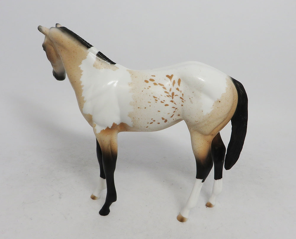 EPHILEDES-LE-15 CUSTOM WEANLING BUCKSKIN PINTALOOSA WHS2018