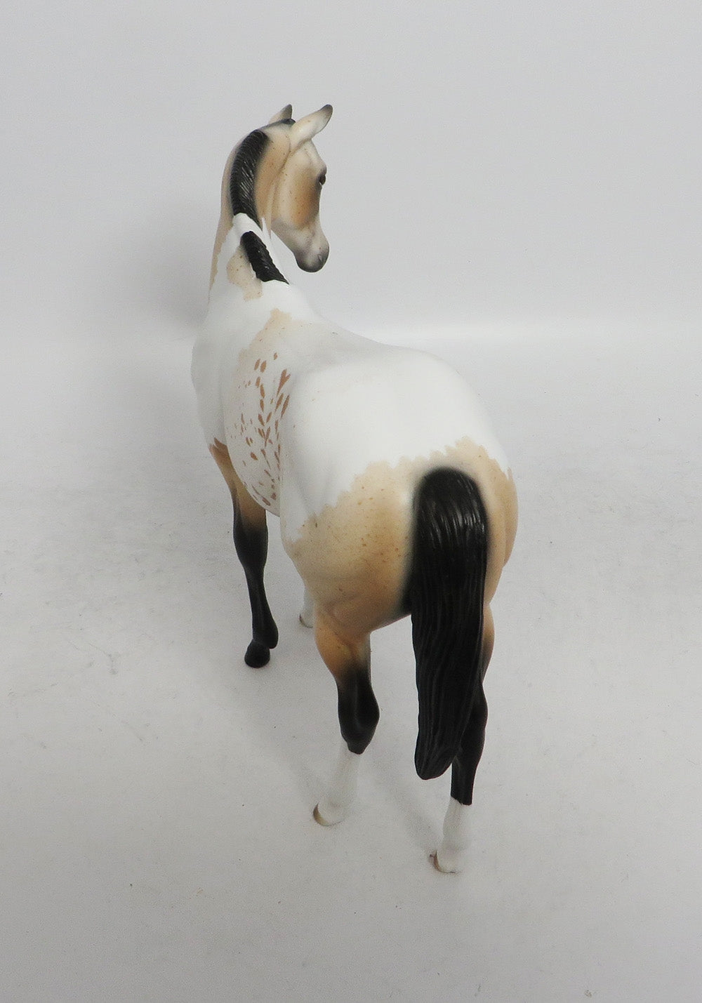 EPHILEDES-LE-15 CUSTOM WEANLING BUCKSKIN PINTALOOSA WHS2018