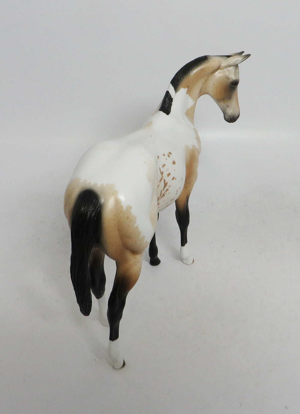 EPHILEDES-LE-15 CUSTOM WEANLING BUCKSKIN PINTALOOSA WHS2018