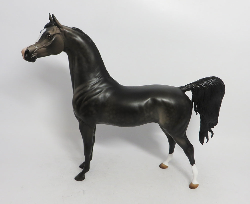 WINTER WONDERLAND- LE-12 DAPPLE GREY ARABIAN CUSTOM WHS2018