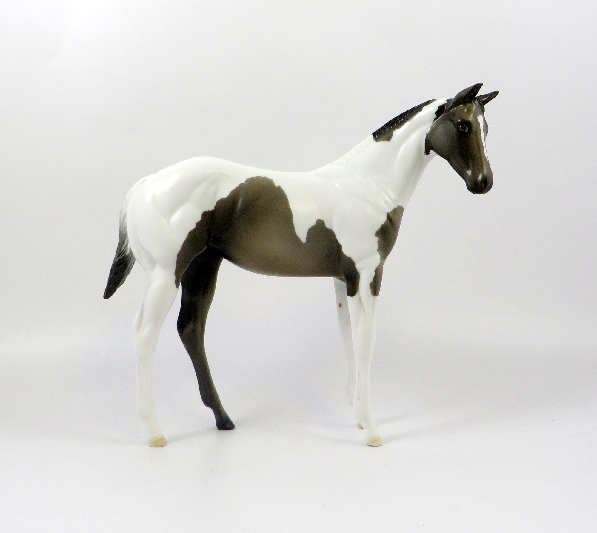 FAULKE-OOAK GRULLA PAINT WEANLING MODEL HORSE EQ 19