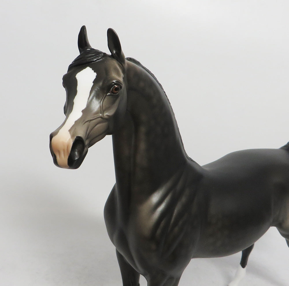 WINTER WONDERLAND- LE-12 DAPPLE GREY ARABIAN CUSTOM WHS2018