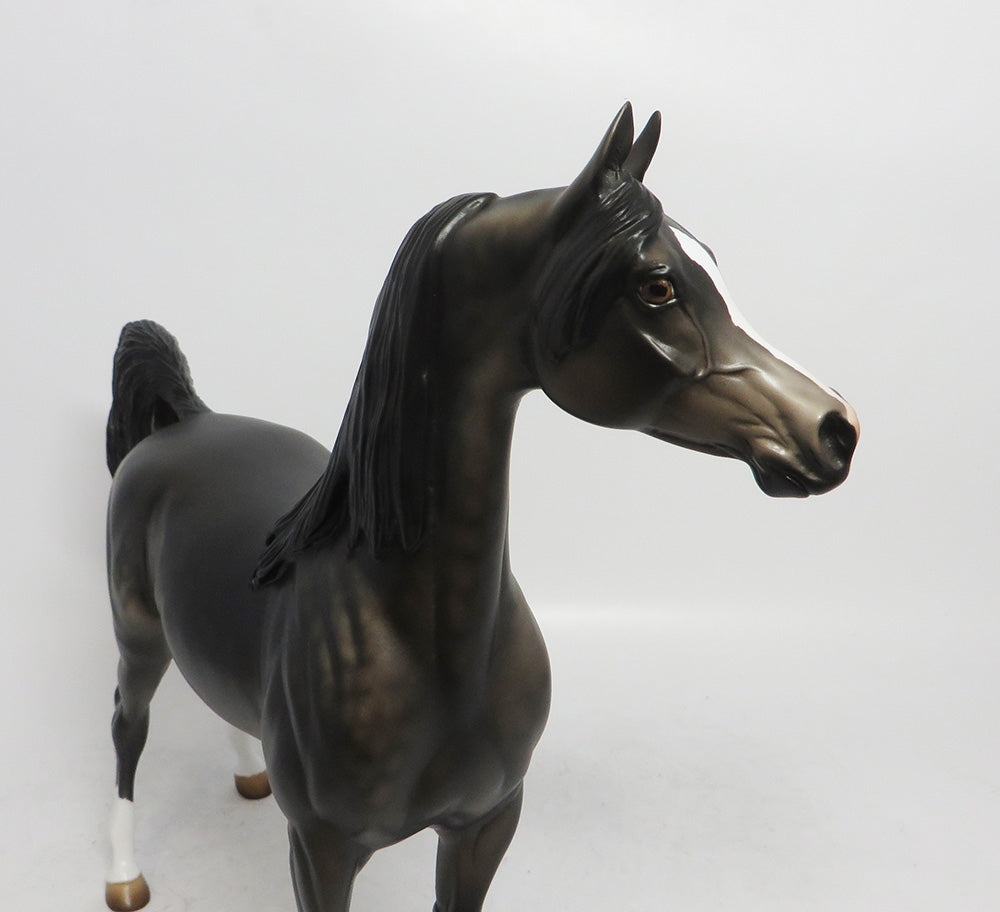 WINTER WONDERLAND- LE-12 DAPPLE GREY ARABIAN CUSTOM WHS2018