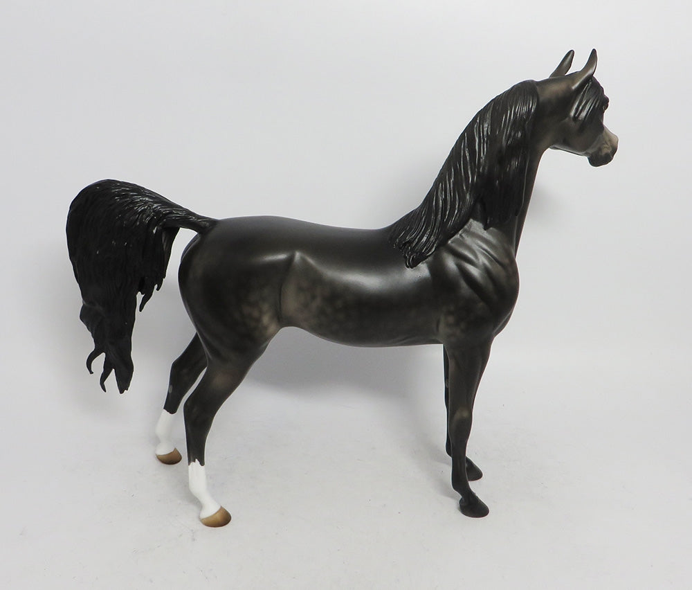 WINTER WONDERLAND- LE-12 DAPPLE GREY ARABIAN CUSTOM WHS2018