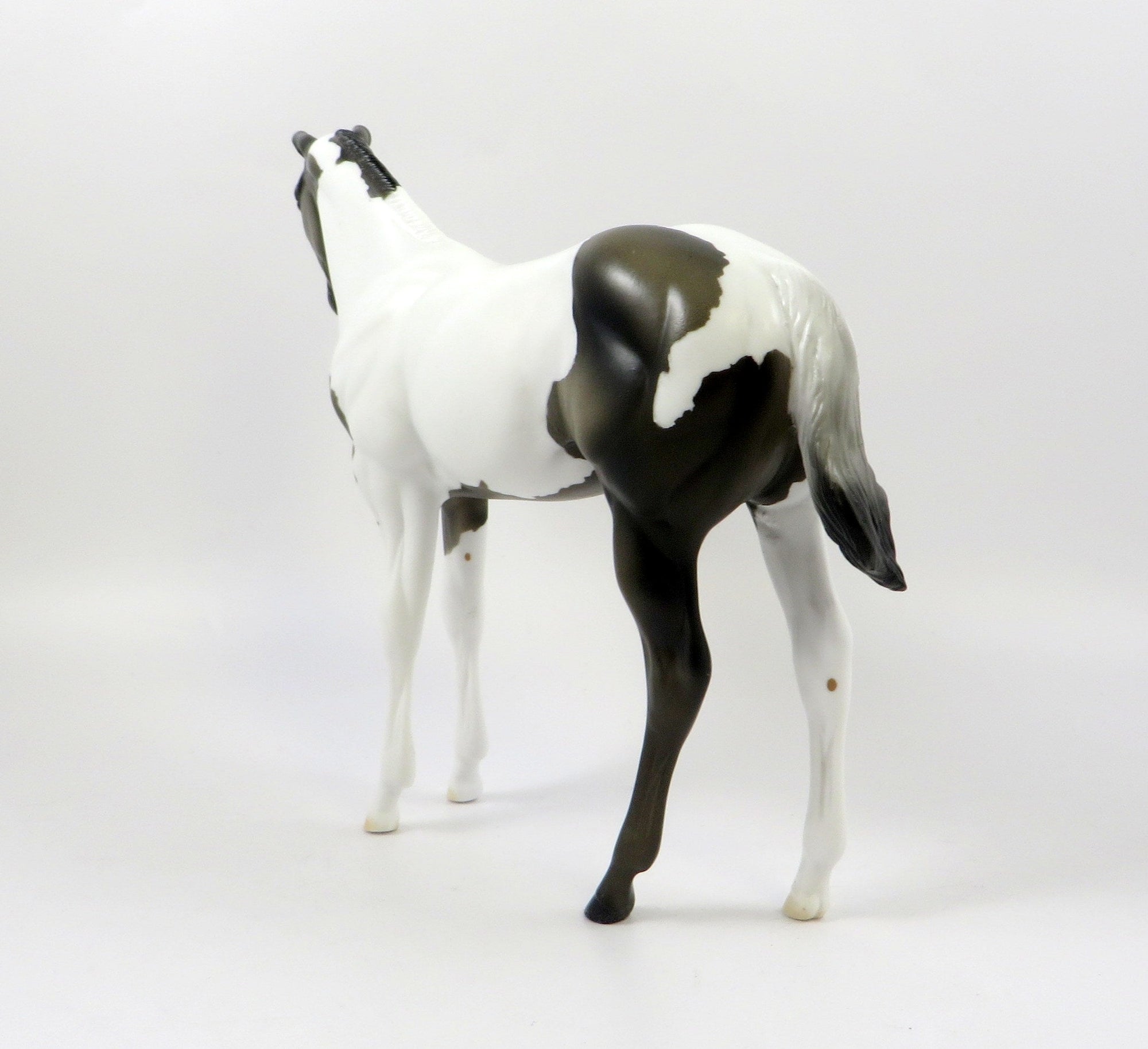FAULKE-OOAK GRULLA PAINT WEANLING MODEL HORSE EQ 19