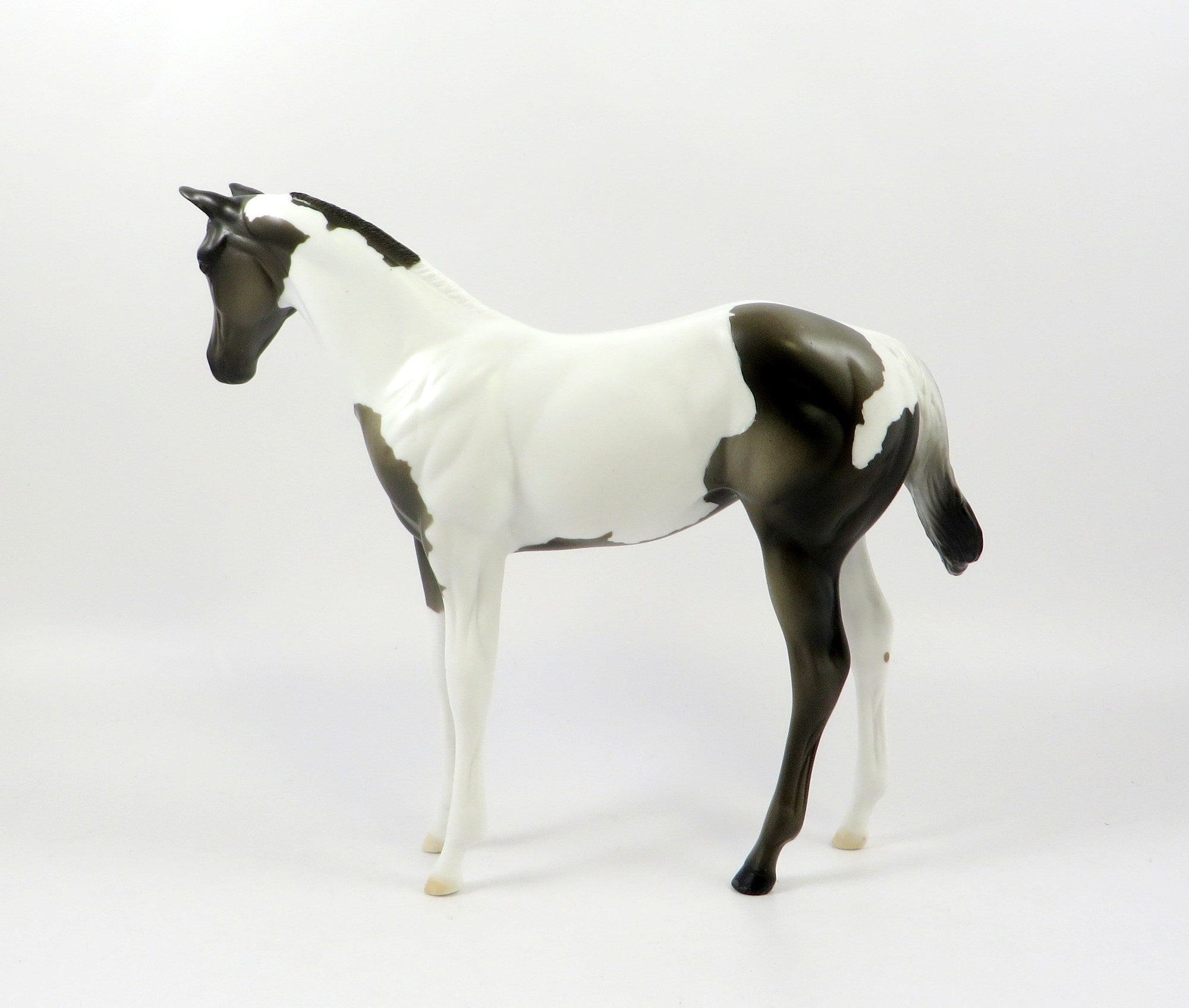 FAULKE-OOAK GRULLA PAINT WEANLING MODEL HORSE EQ 19