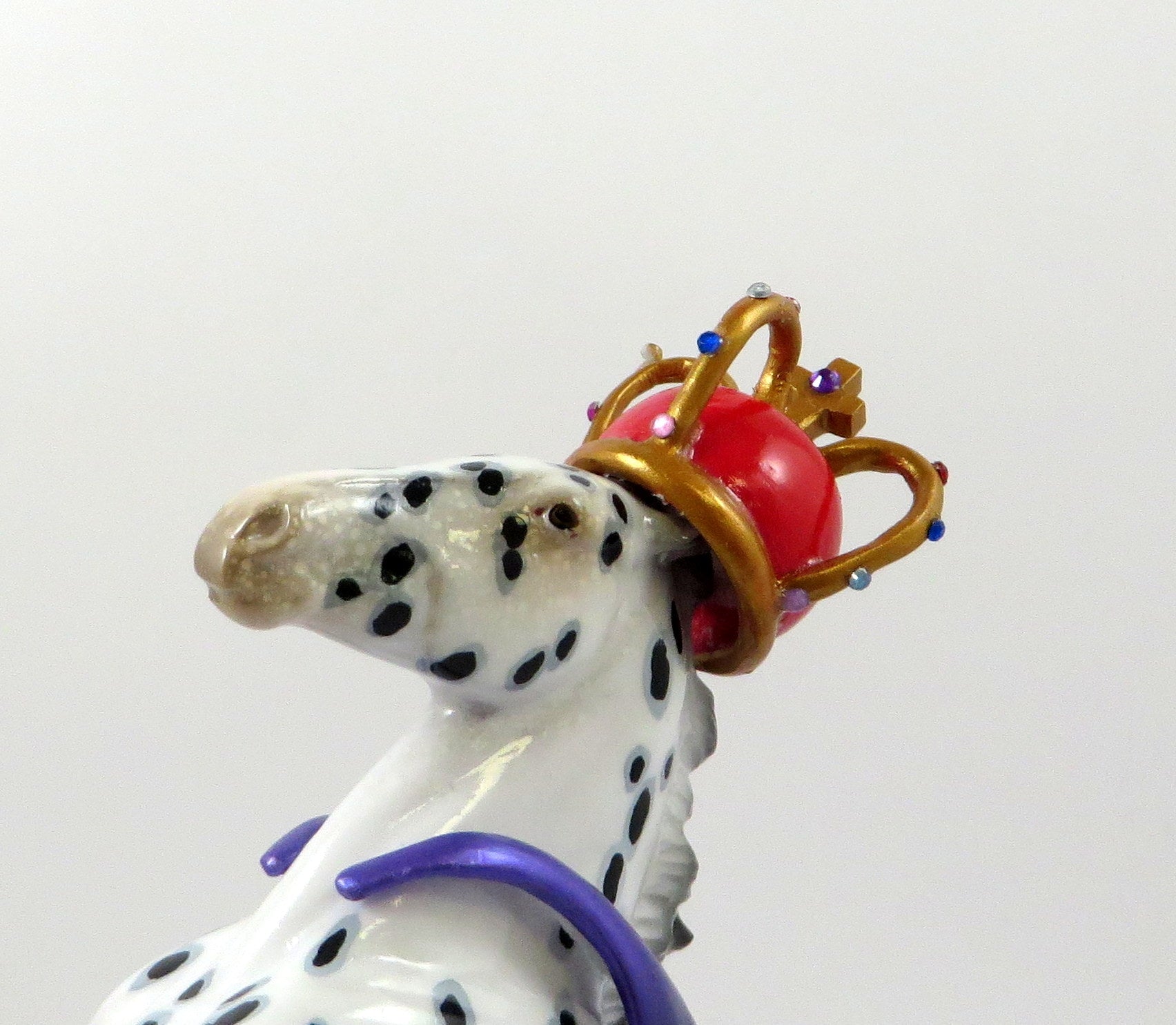 QUEEN ELIZABETH-LE-7 APPALOOSA REARING PEBBLES EQ 2019