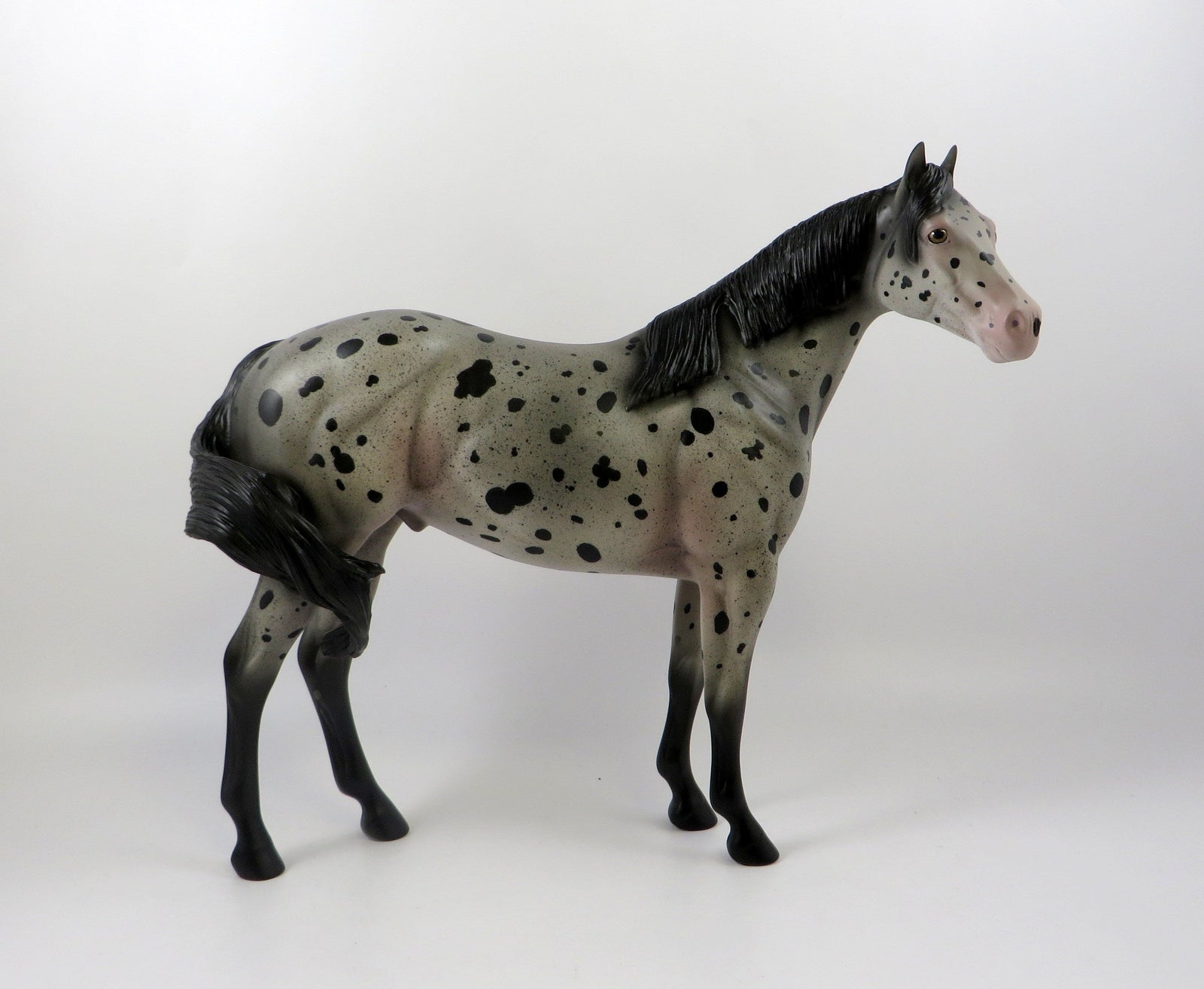 BASILAS-OOAK BLUE ROAN APPALOOSA ISH MODEL HORSE 7/26/19