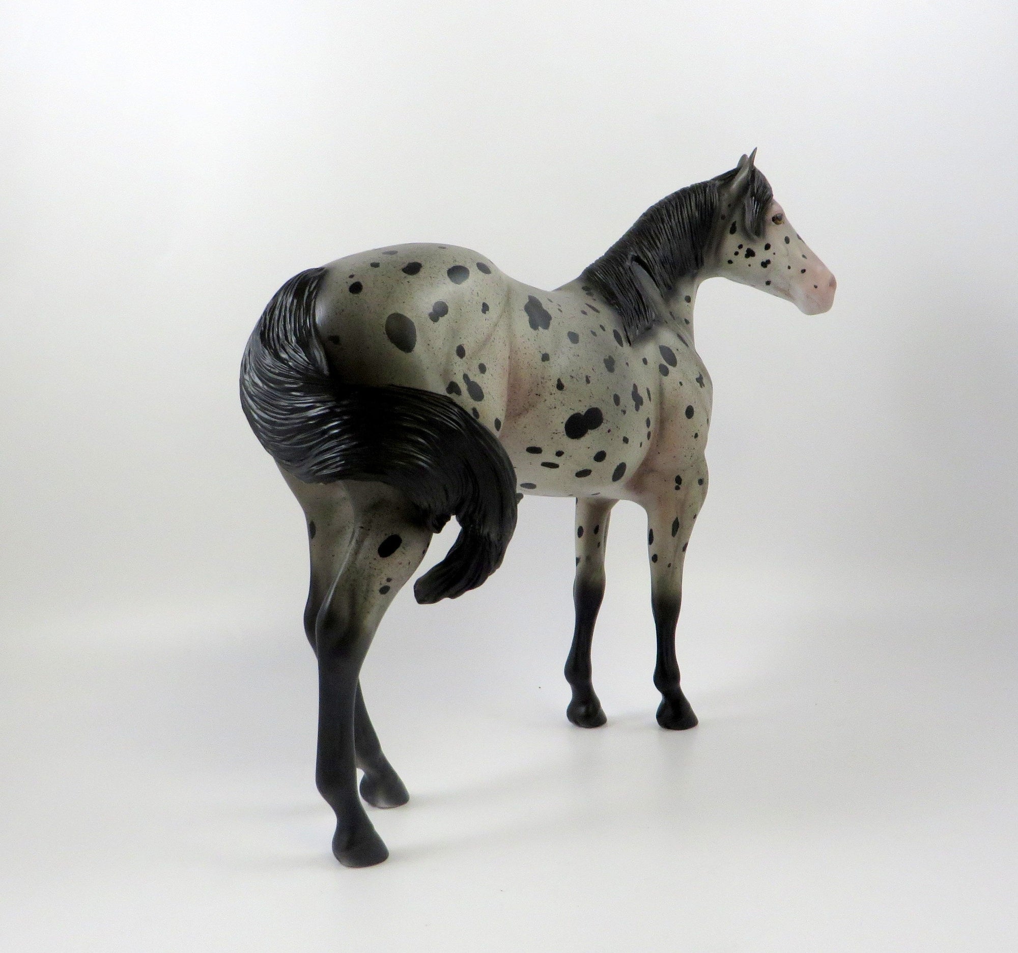 BASILAS-OOAK BLUE ROAN APPALOOSA ISH MODEL HORSE 7/26/19