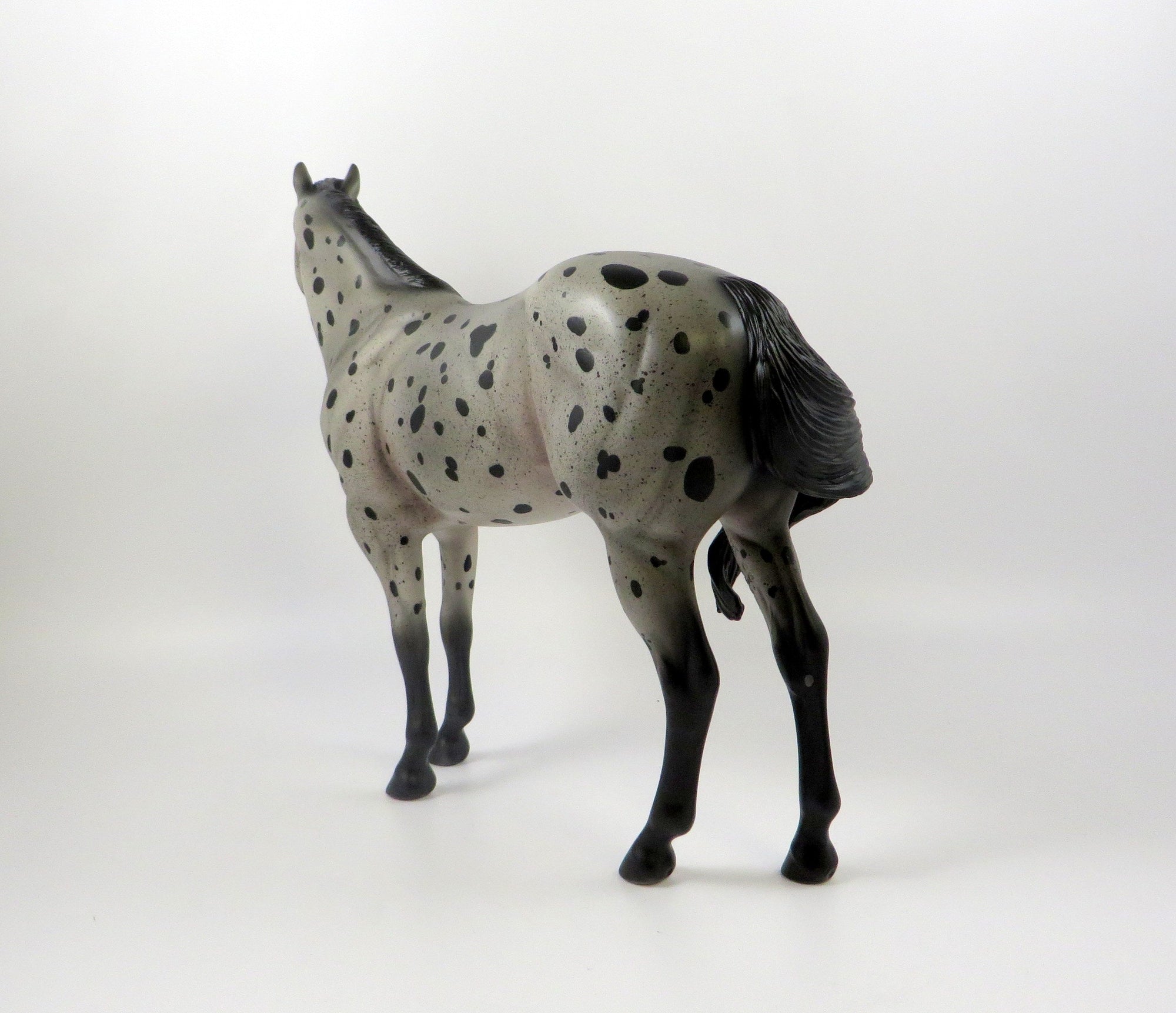 BASILAS-OOAK BLUE ROAN APPALOOSA ISH MODEL HORSE 7/26/19