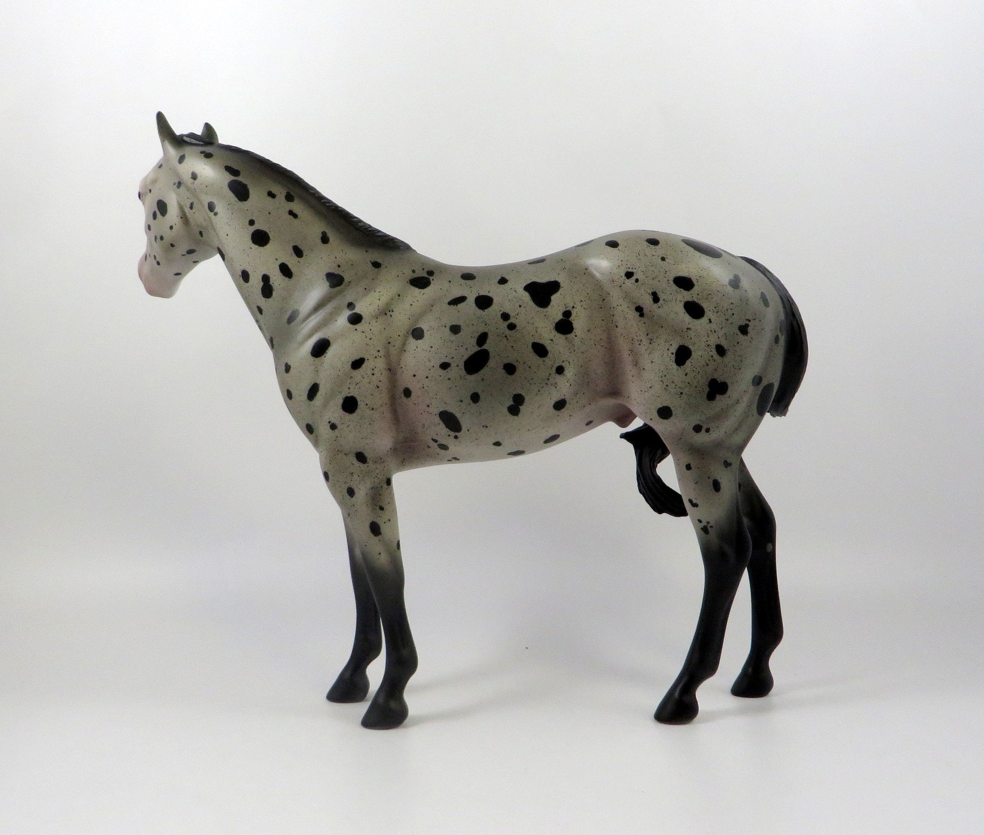 BASILAS-OOAK BLUE ROAN APPALOOSA ISH MODEL HORSE 7/26/19