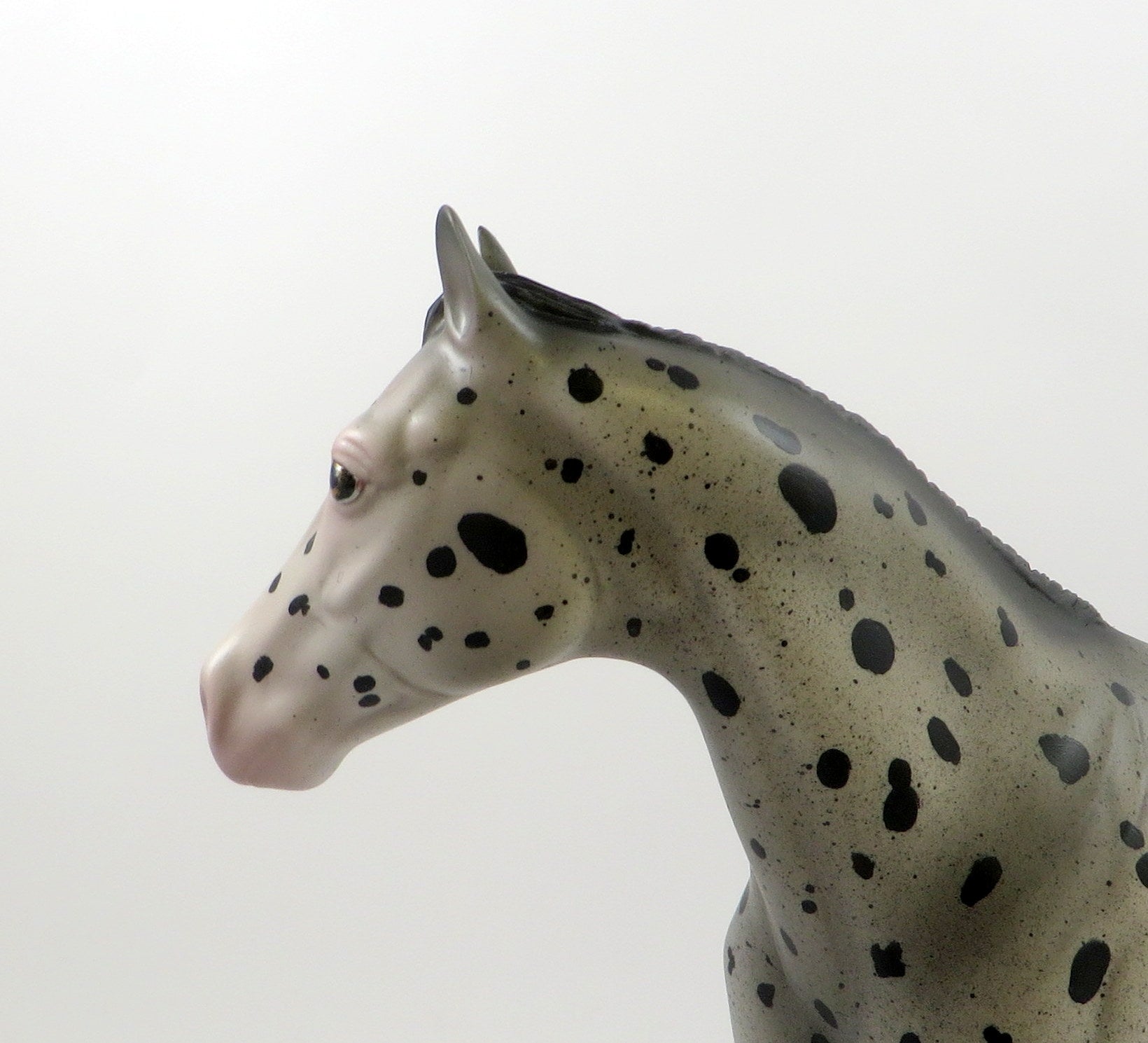 BASILAS-OOAK BLUE ROAN APPALOOSA ISH MODEL HORSE 7/26/19