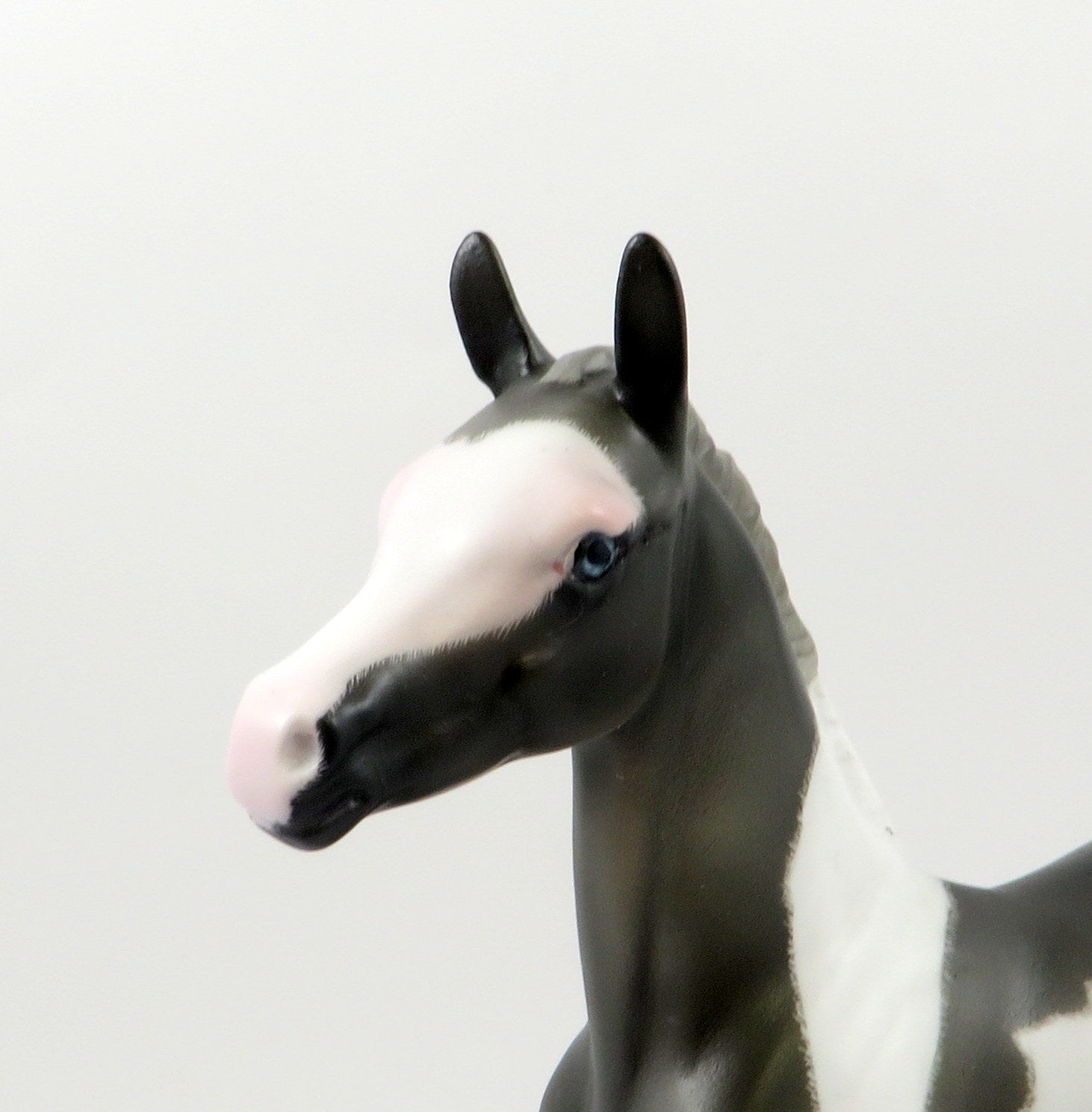 GAIA-OOAK GREY PAINT ARABIAN FOAL MODEL HORSE 7/26/19