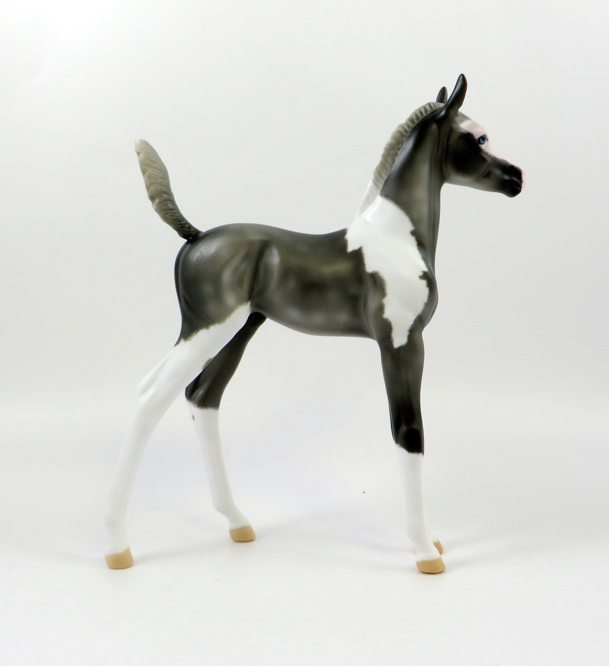 GAIA-OOAK GREY PAINT ARABIAN FOAL MODEL HORSE 7/26/19
