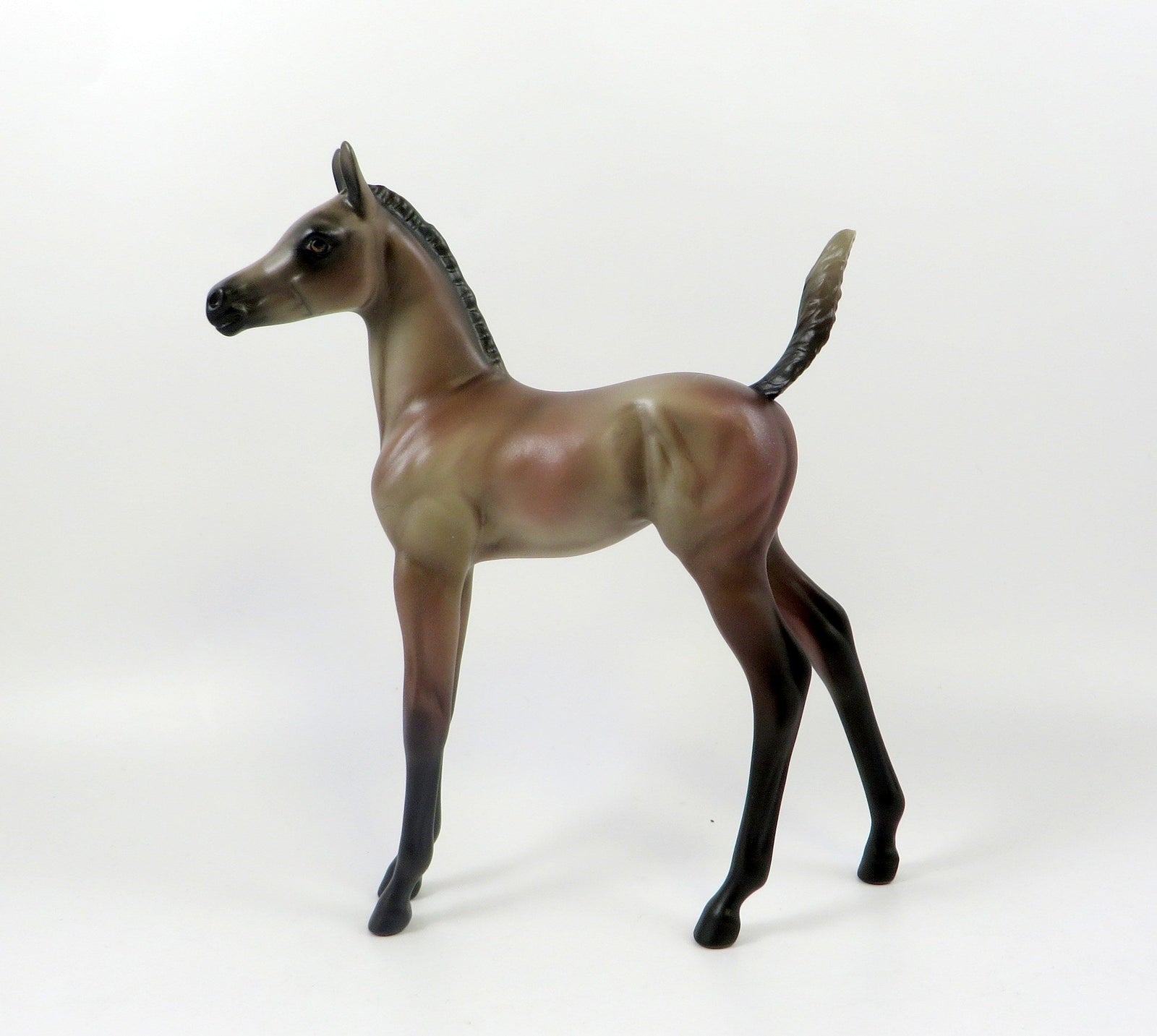 EVENING STAR-OOAK ROSE GREY ARABIAN FOAL MODEL HORSE 7/26/19