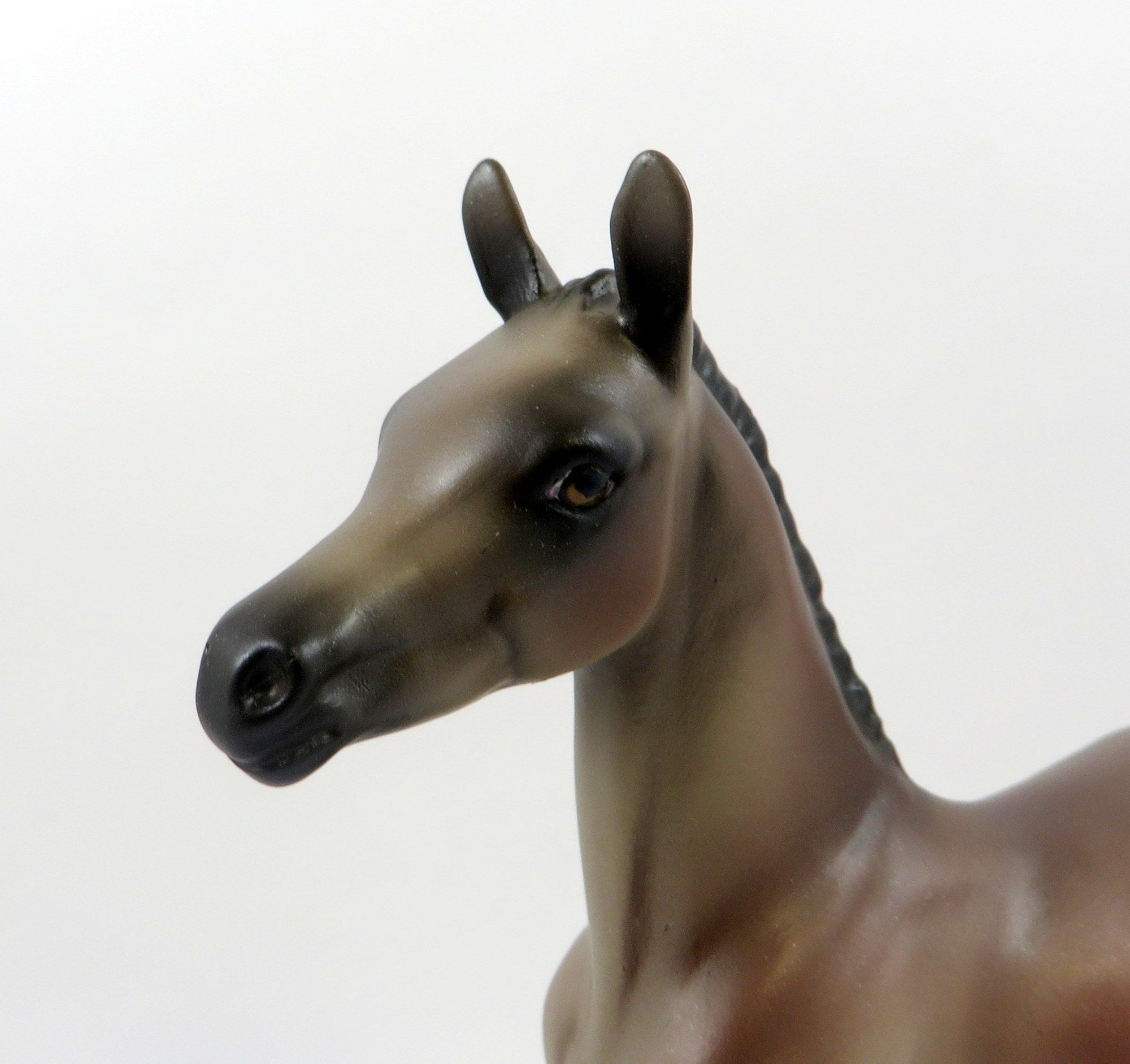 EVENING STAR-OOAK ROSE GREY ARABIAN FOAL MODEL HORSE 7/26/19