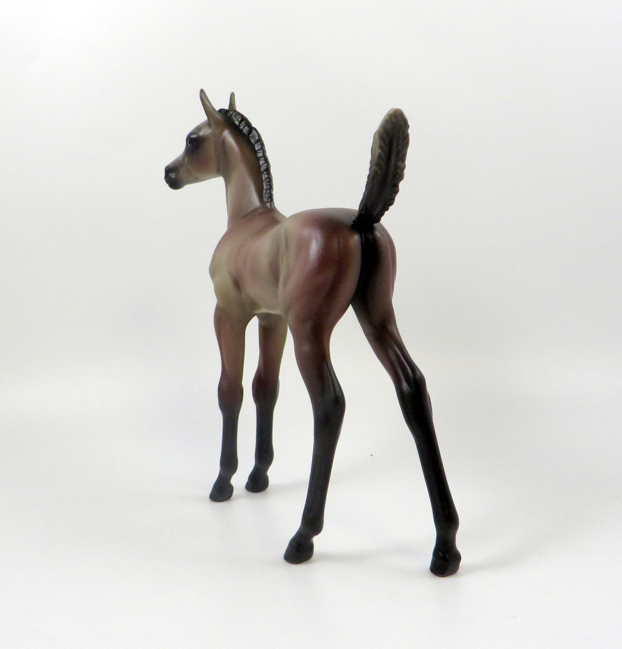 EVENING STAR-OOAK ROSE GREY ARABIAN FOAL MODEL HORSE 7/26/19