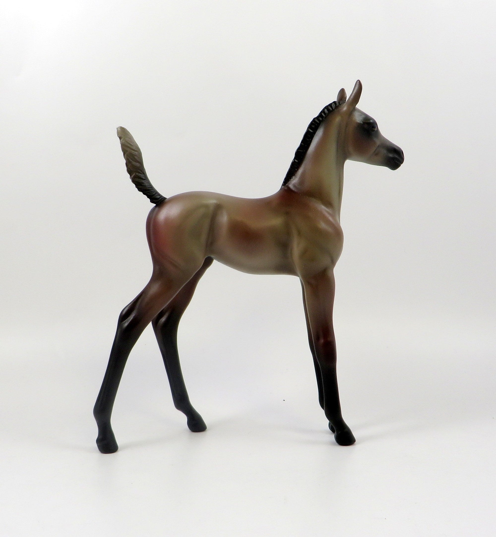 EVENING STAR-OOAK ROSE GREY ARABIAN FOAL MODEL HORSE 7/26/19