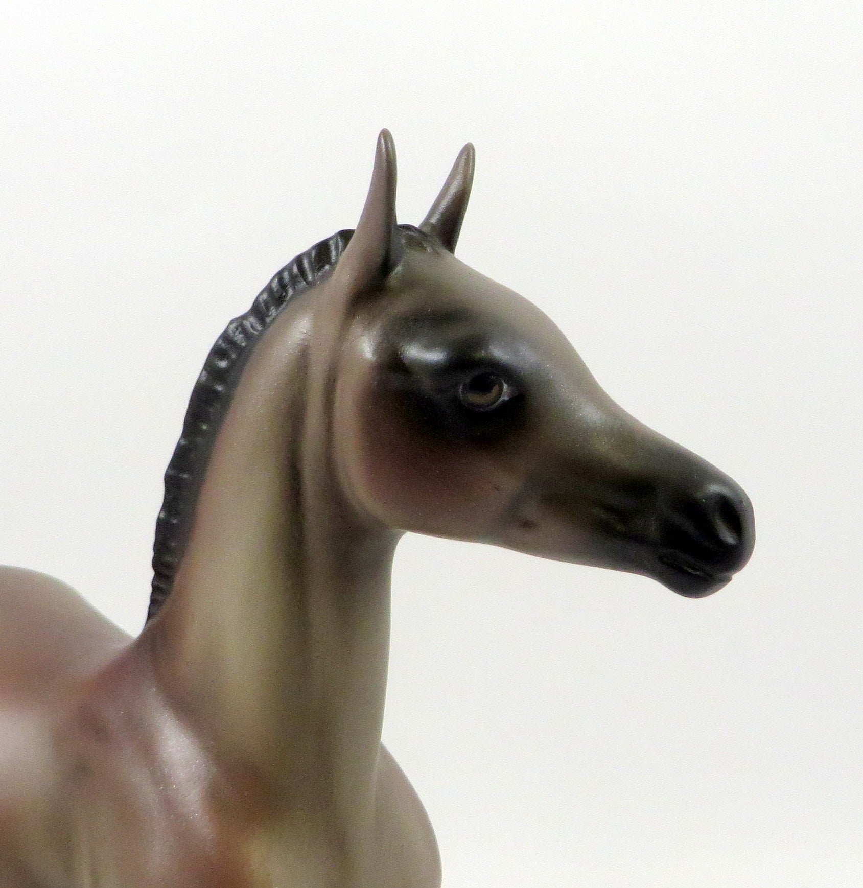 EVENING STAR-OOAK ROSE GREY ARABIAN FOAL MODEL HORSE 7/26/19