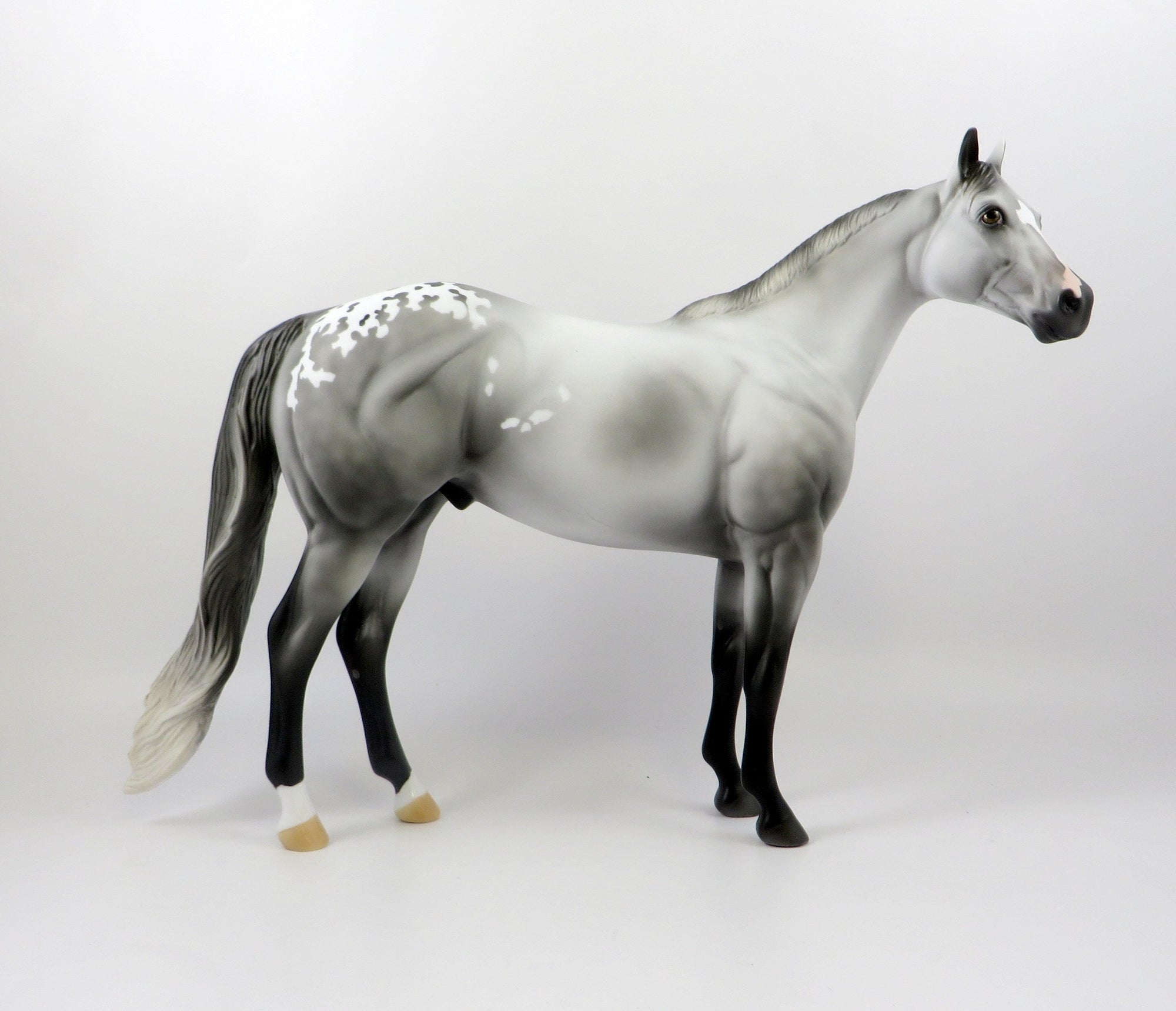 FRENCH MONTANA-OOAK DAPPLE GREY APPALOOSA ISH MODEL HORSE 7/26/19