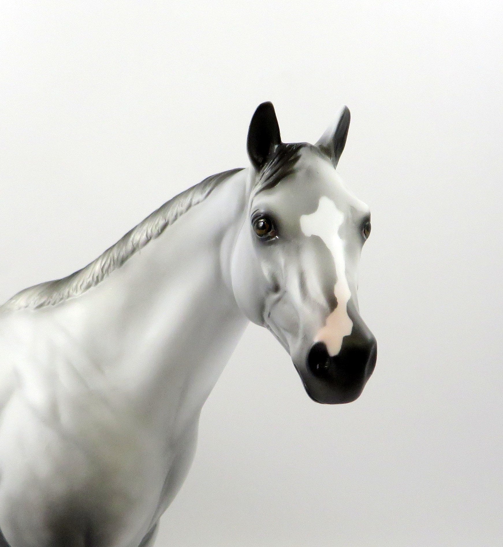 FRENCH MONTANA-OOAK DAPPLE GREY APPALOOSA ISH MODEL HORSE 7/26/19