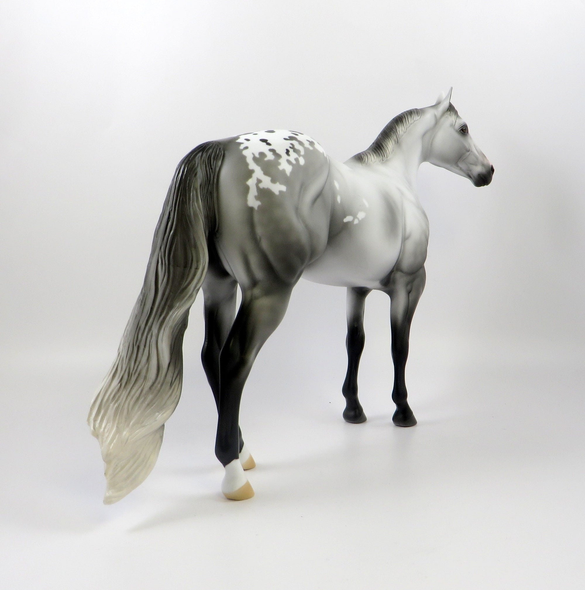 FRENCH MONTANA-OOAK DAPPLE GREY APPALOOSA ISH MODEL HORSE 7/26/19