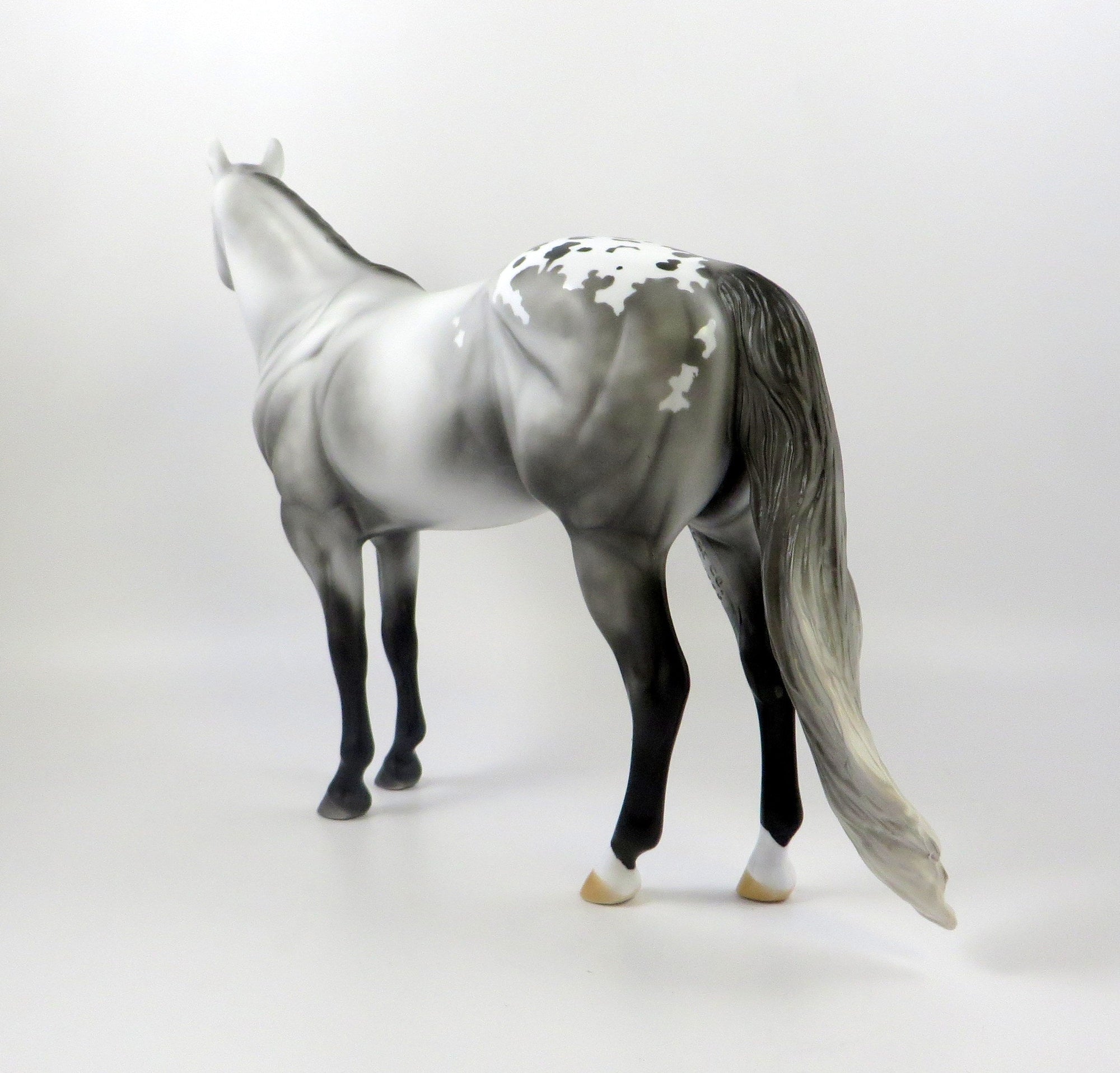 FRENCH MONTANA-OOAK DAPPLE GREY APPALOOSA ISH MODEL HORSE 7/26/19