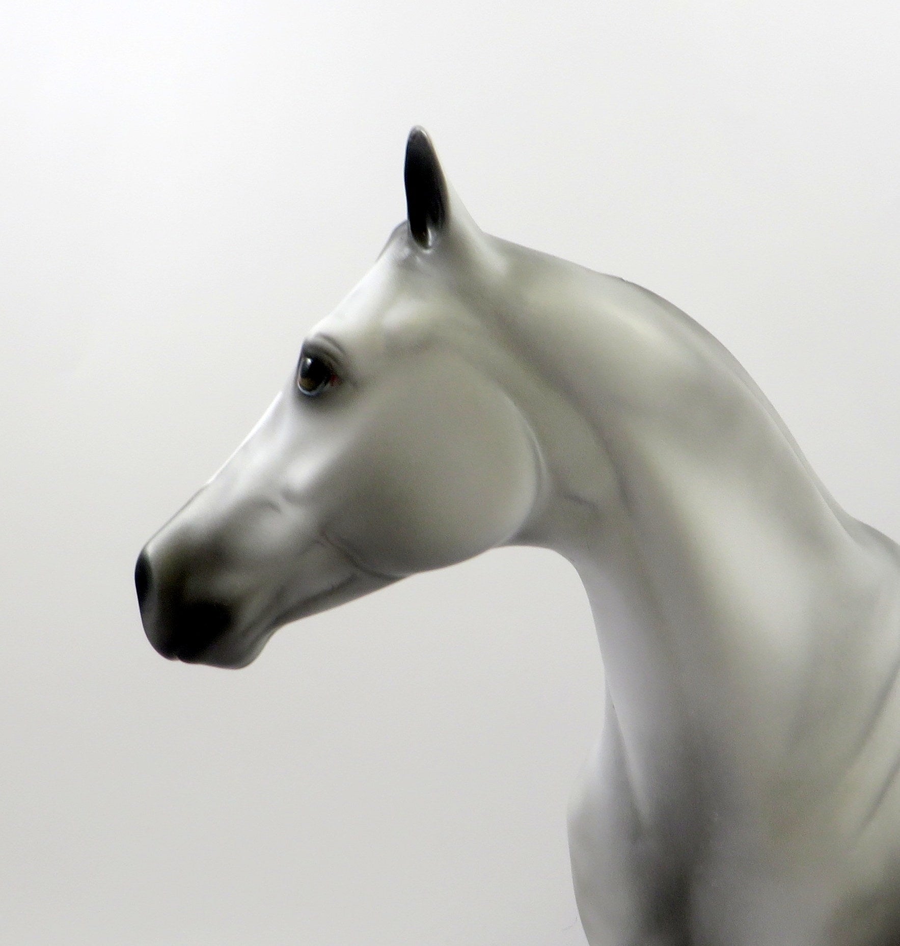 FRENCH MONTANA-OOAK DAPPLE GREY APPALOOSA ISH MODEL HORSE 7/26/19