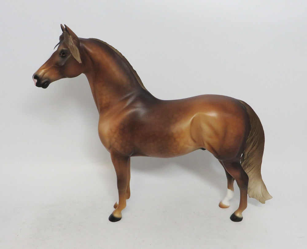 CHRISTMAS TOFFEE - OOAK DAPPLE CHESTNUT MORGAN STALLION WHS 2018