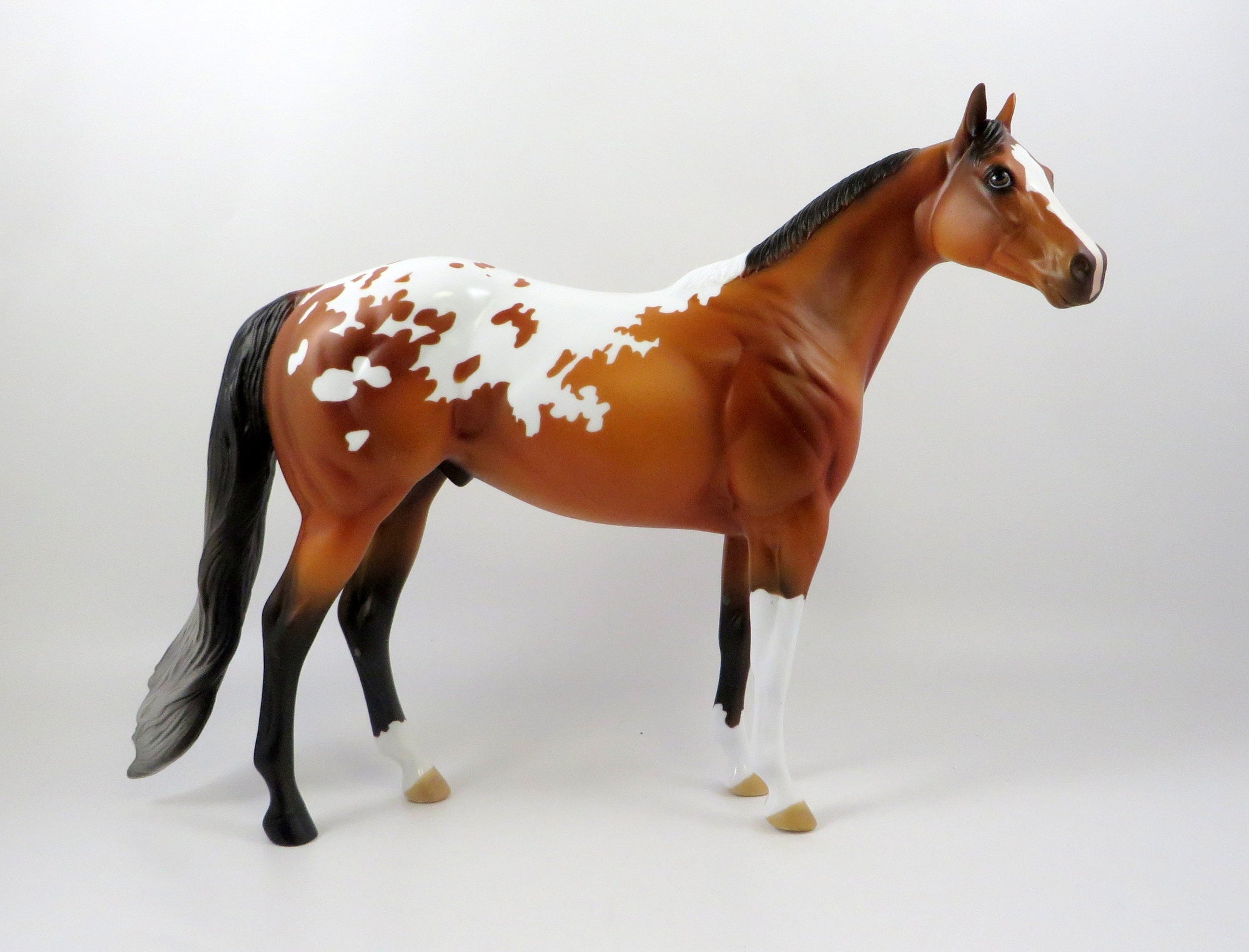 QUAVO-OOAK BAY APPALOOSA ISH MODEL HORSE 7/26/19