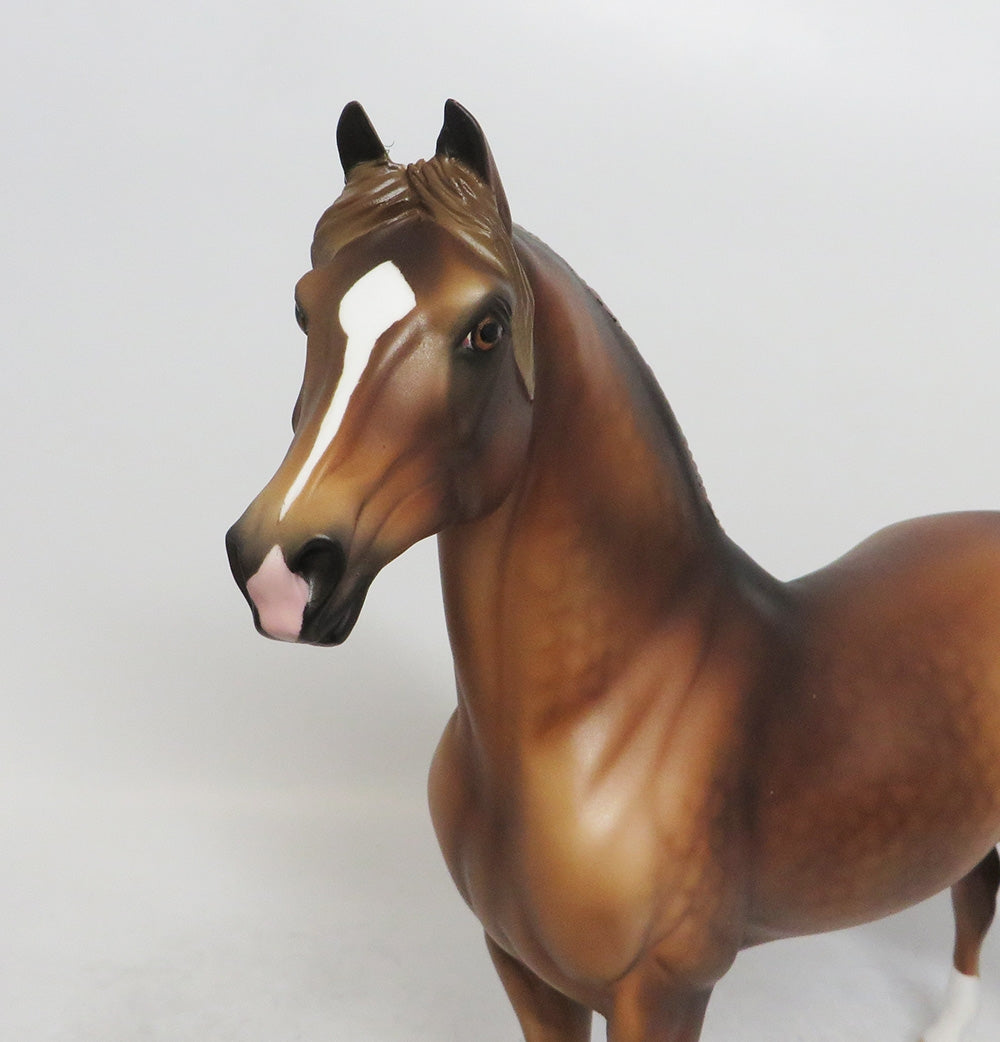 CHRISTMAS TOFFEE - OOAK DAPPLE CHESTNUT MORGAN STALLION WHS 2018