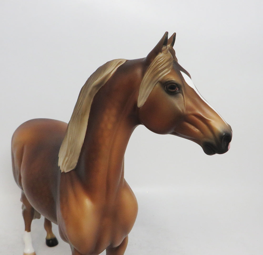 CHRISTMAS TOFFEE - OOAK DAPPLE CHESTNUT MORGAN STALLION WHS 2018