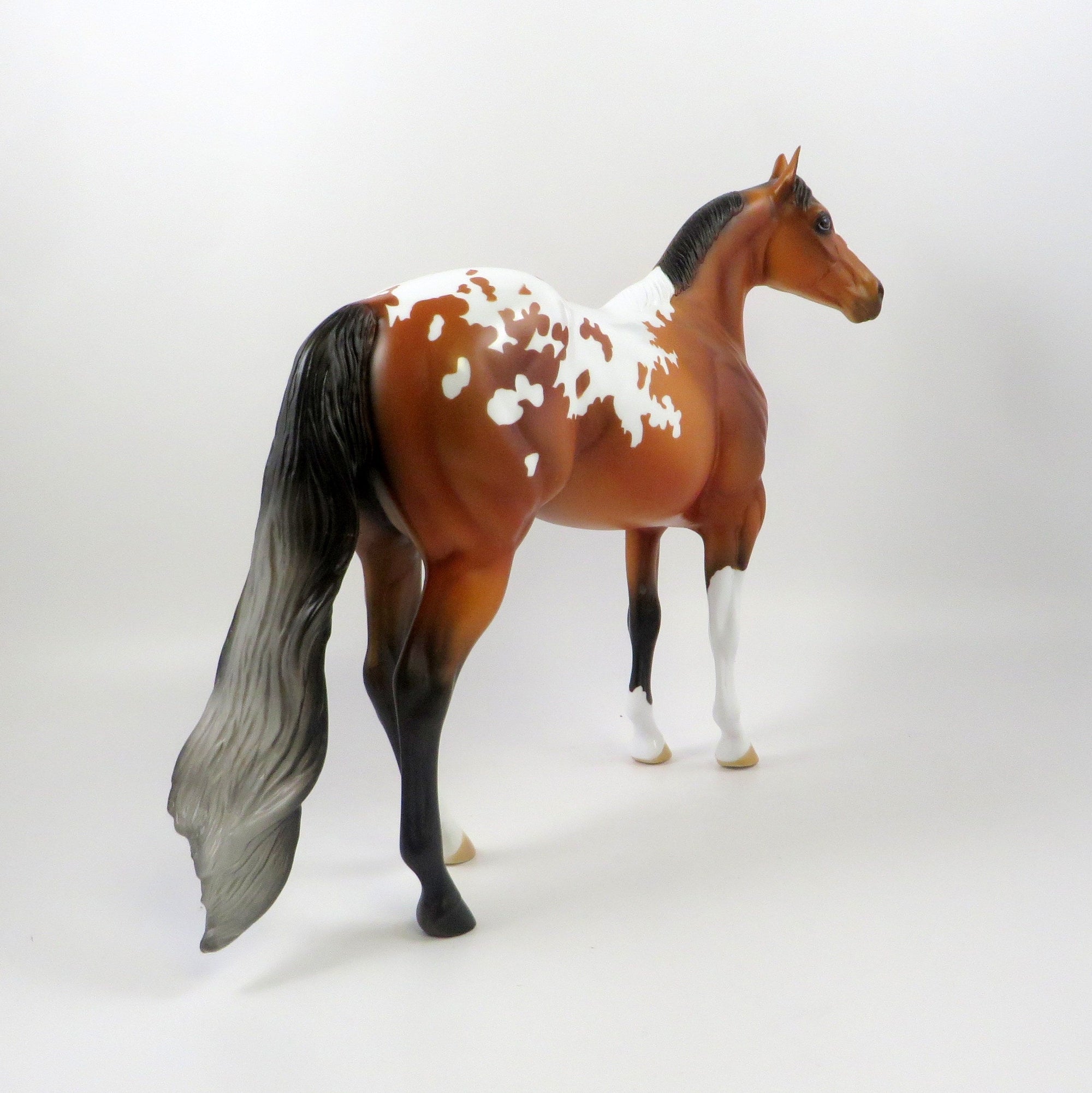QUAVO-OOAK BAY APPALOOSA ISH MODEL HORSE 7/26/19