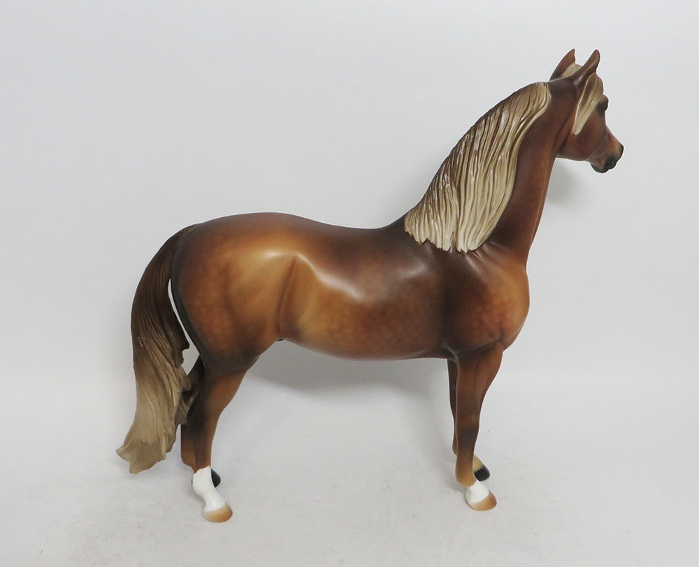 CHRISTMAS TOFFEE - OOAK DAPPLE CHESTNUT MORGAN STALLION WHS 2018