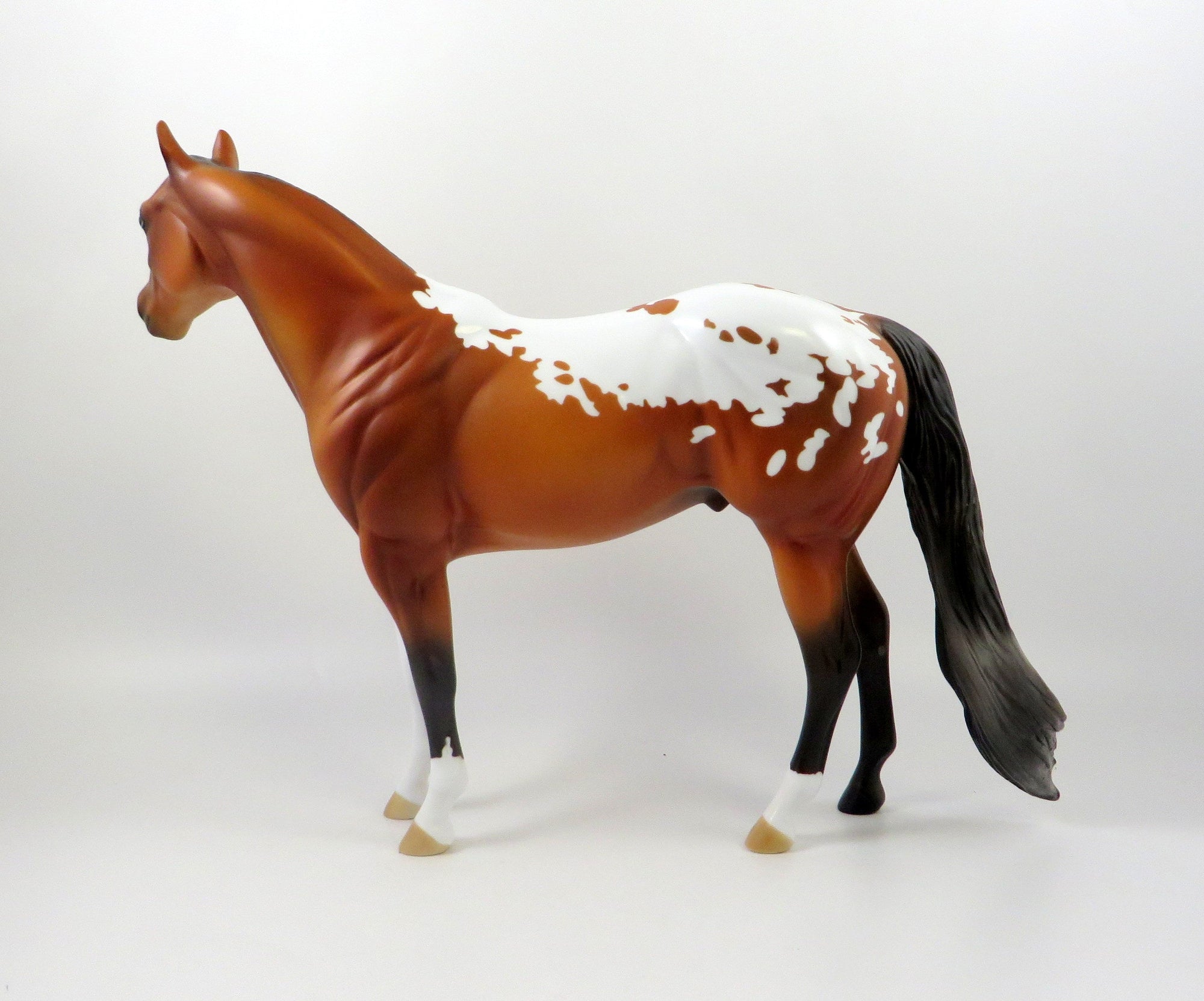 QUAVO-OOAK BAY APPALOOSA ISH MODEL HORSE 7/26/19