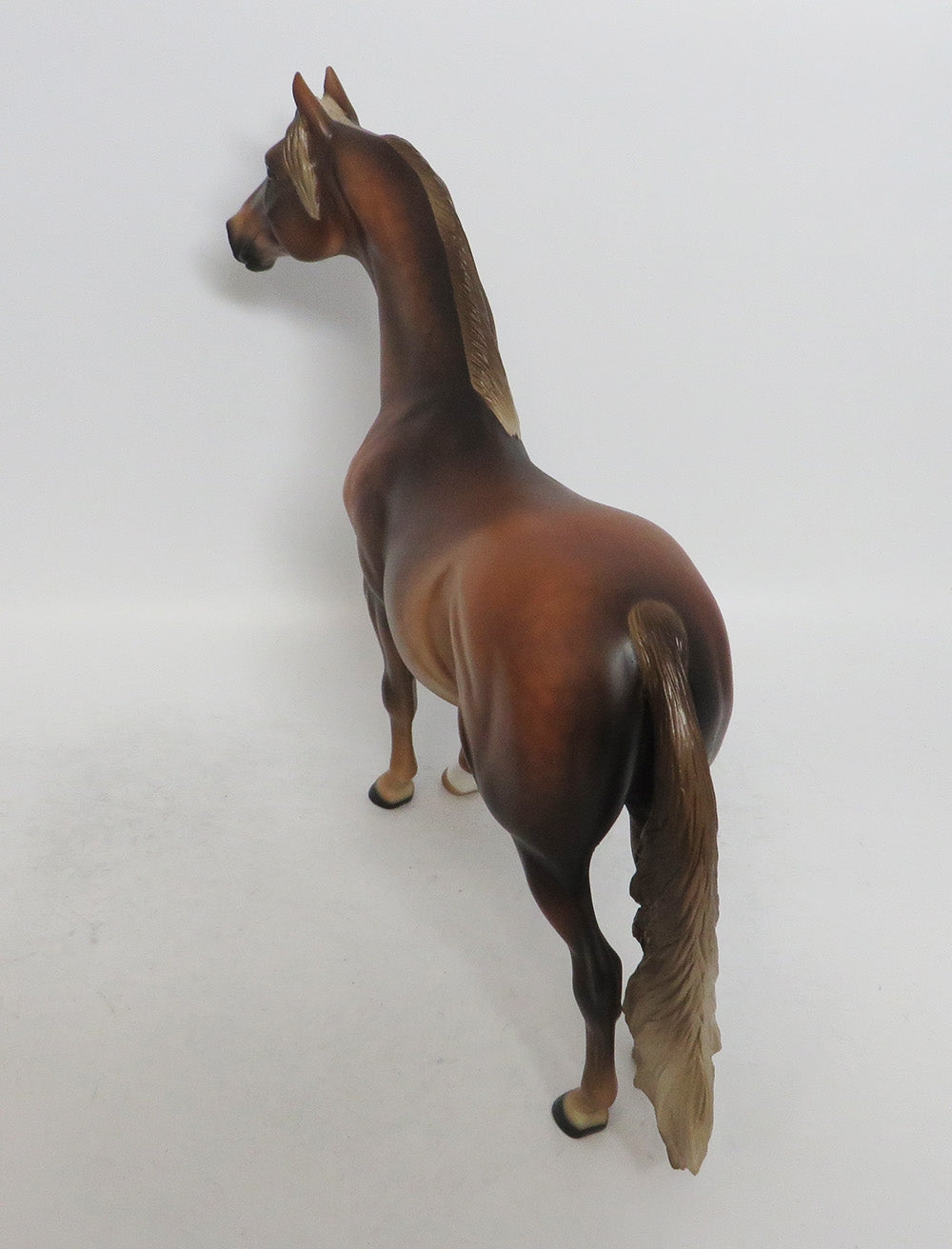 CHRISTMAS TOFFEE - OOAK DAPPLE CHESTNUT MORGAN STALLION WHS 2018