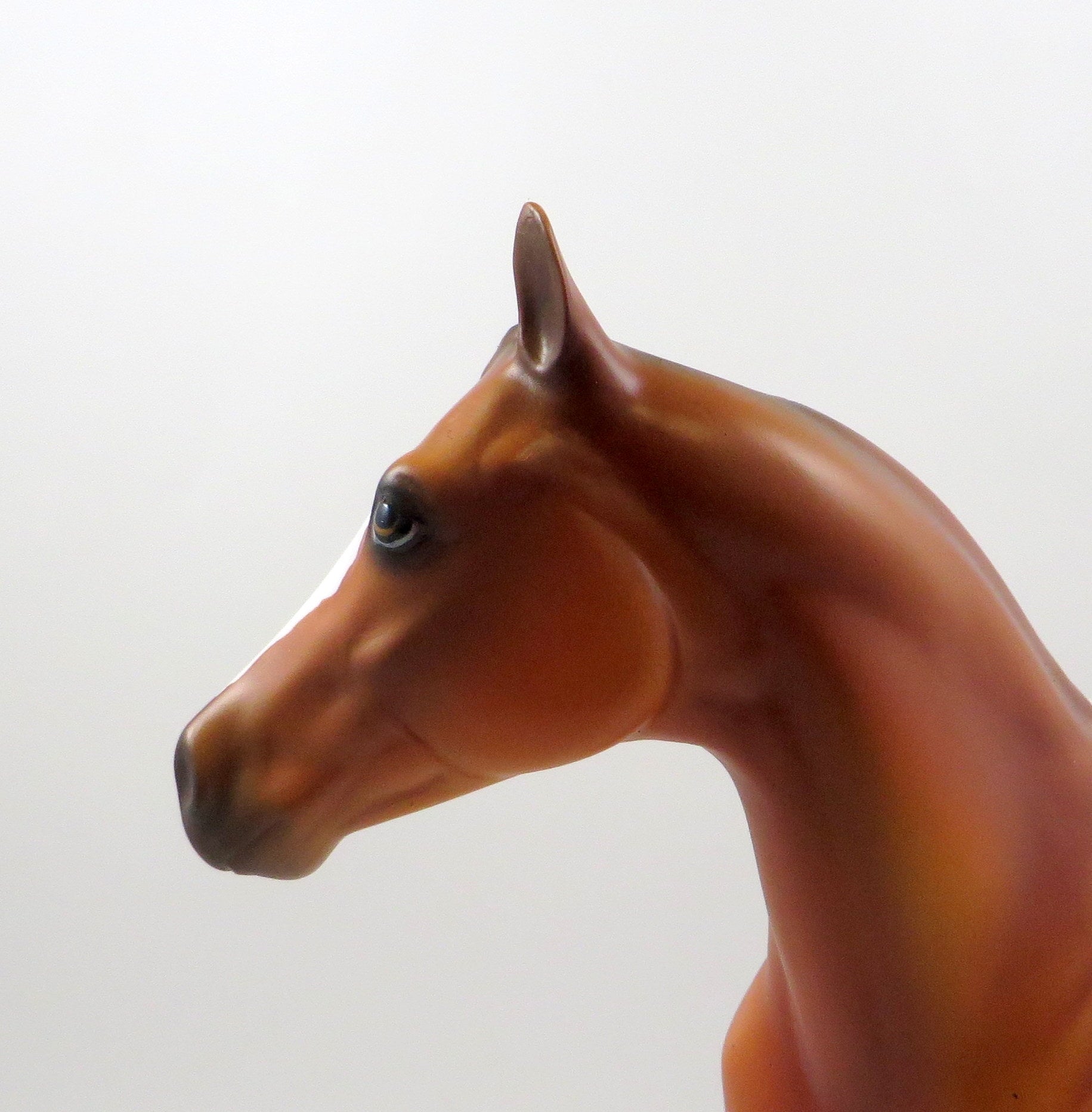 QUAVO-OOAK BAY APPALOOSA ISH MODEL HORSE 7/26/19