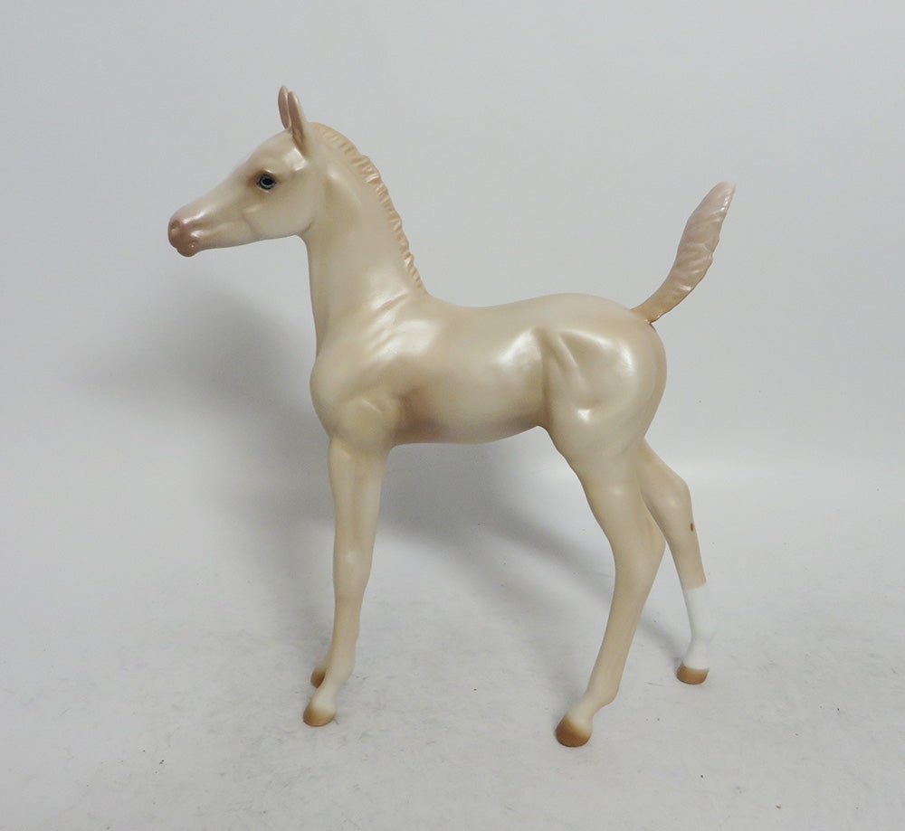 SUGAR COOKIE - OOAK CREMELLO FOAL WHS 2018