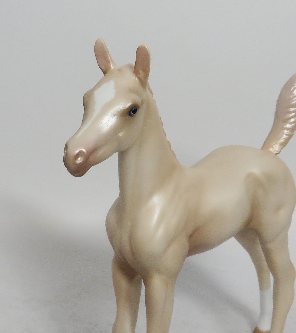 SUGAR COOKIE - OOAK CREMELLO FOAL WHS 2018