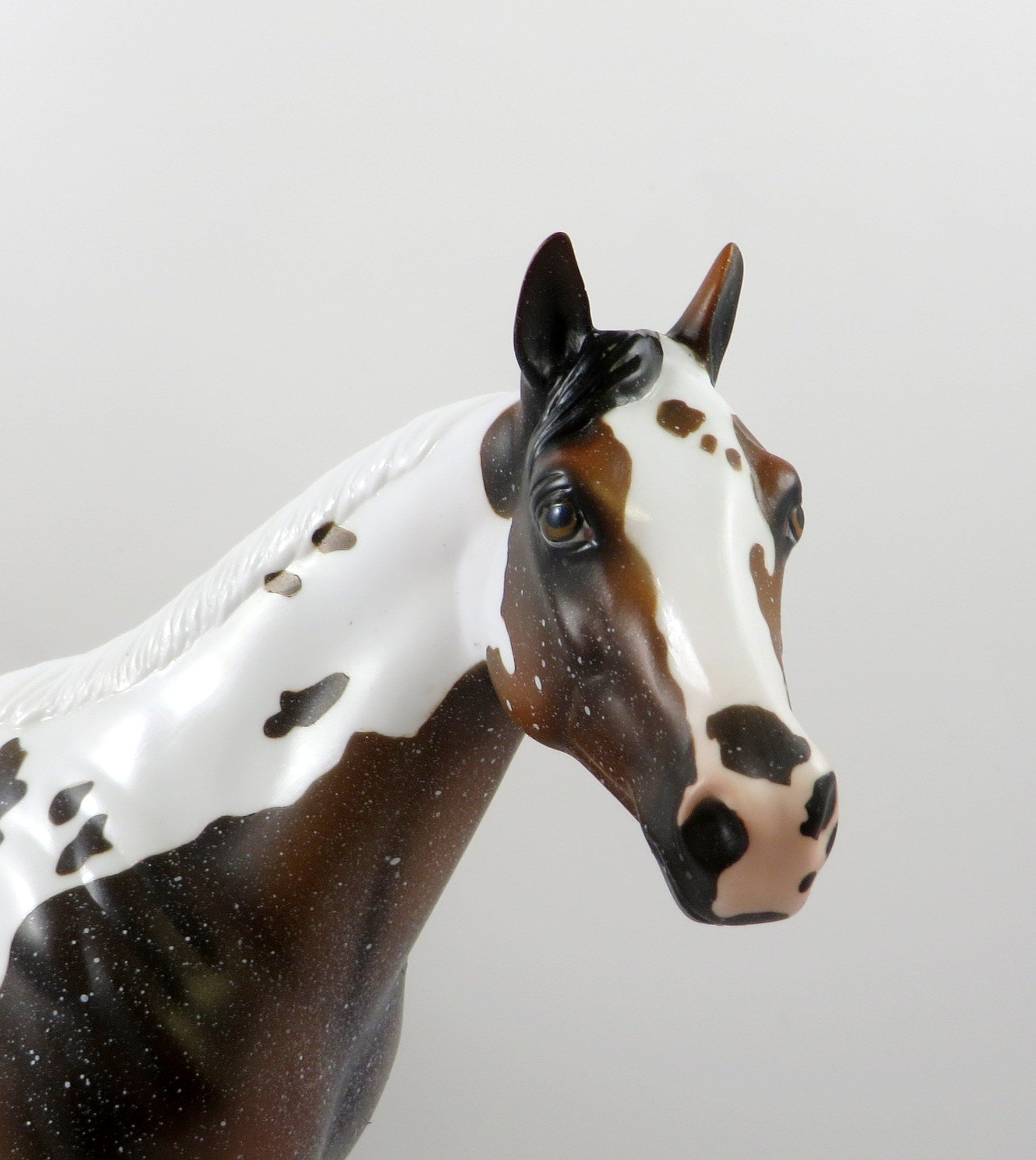 BUSTA RHYMES-OOAK BAY PAINT ISH MODEL HORSE 7/26/19