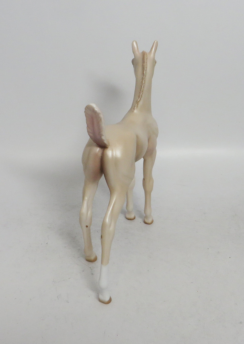 SUGAR COOKIE - OOAK CREMELLO FOAL WHS 2018