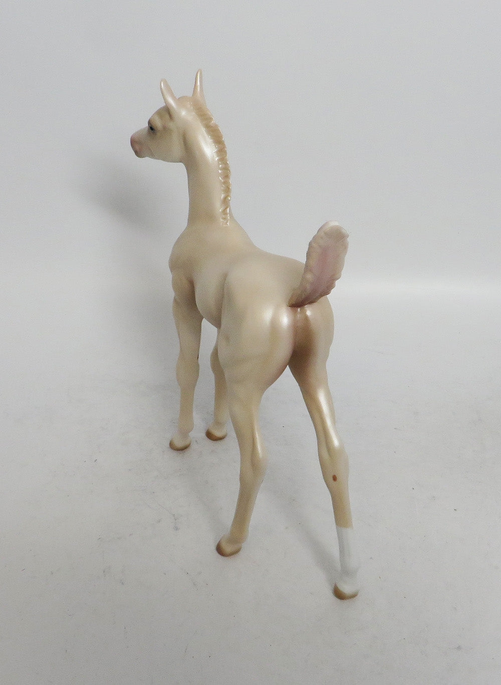 SUGAR COOKIE - OOAK CREMELLO FOAL WHS 2018