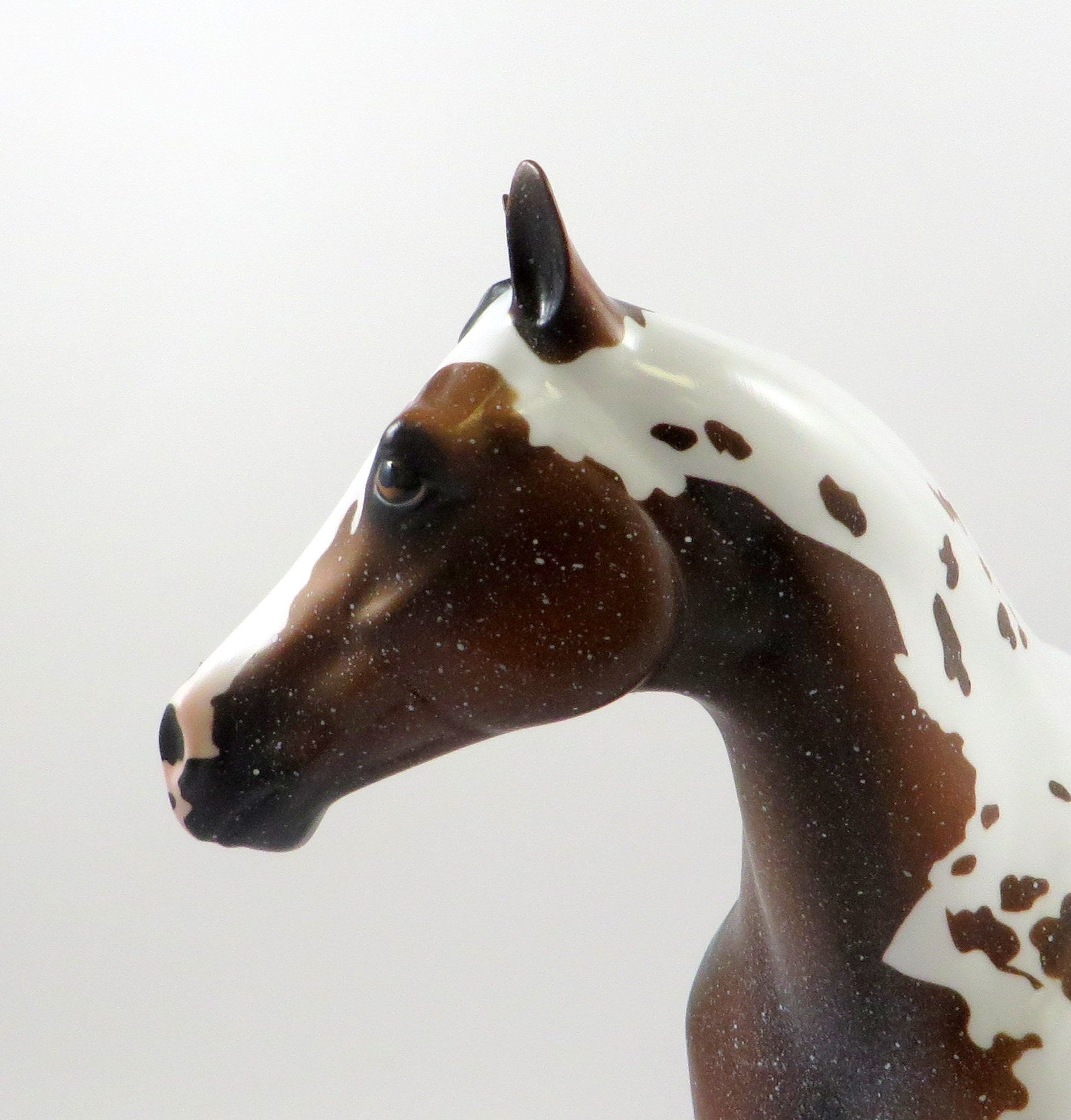 BUSTA RHYMES-OOAK BAY PAINT ISH MODEL HORSE 7/26/19