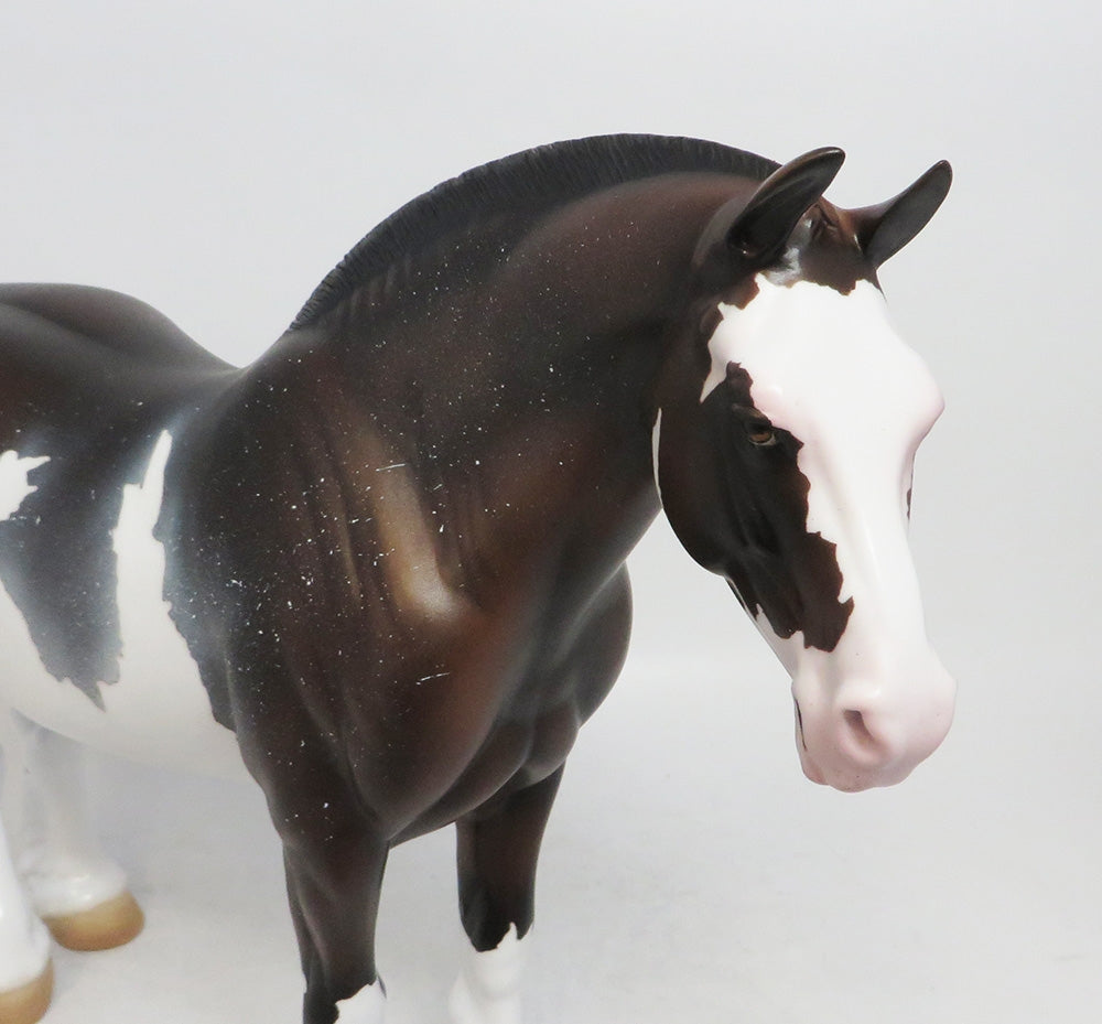 SABBY-LE-? PRE-ORDER SABINO HEAVY DRAFT MARE 11/16/18