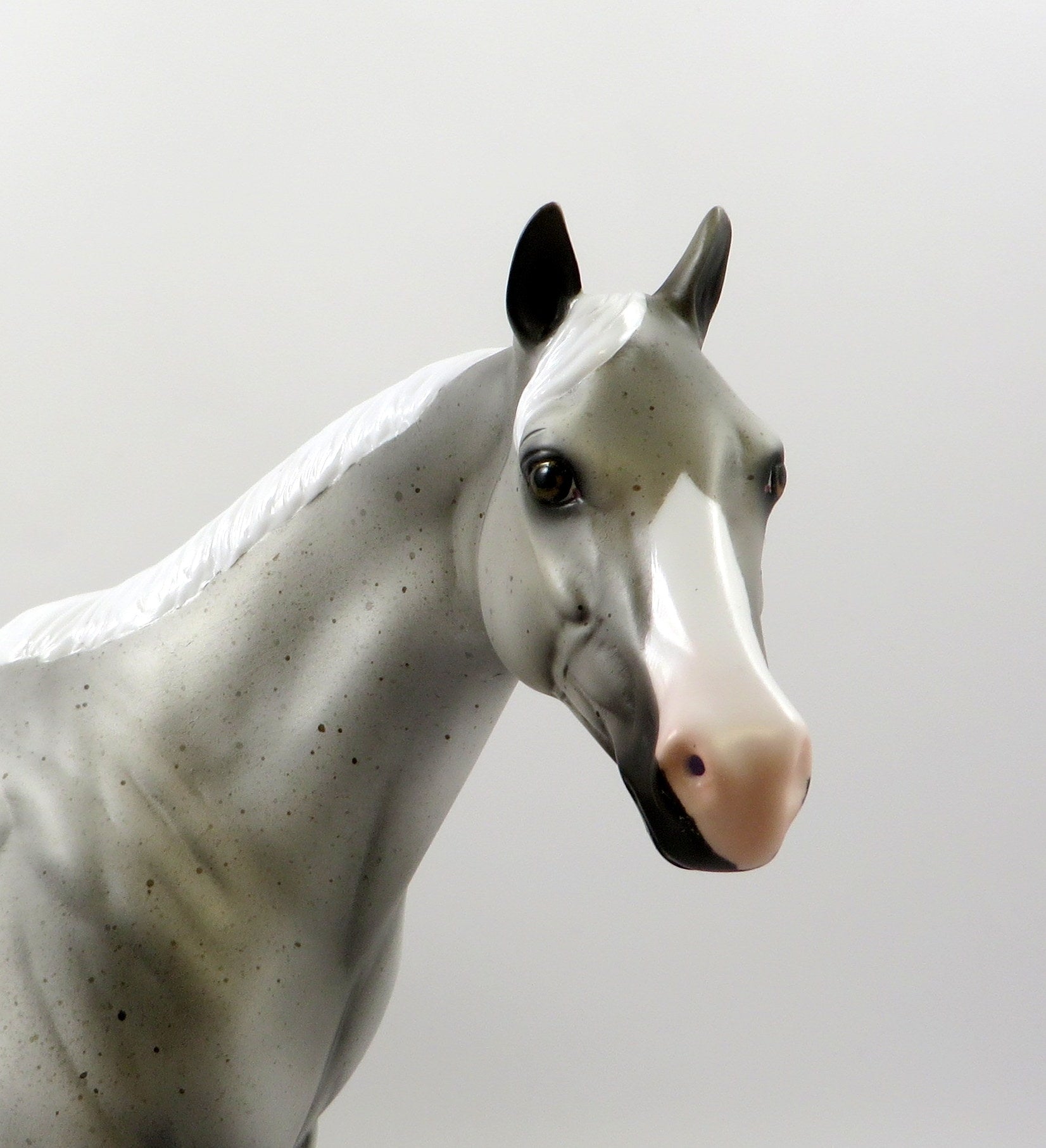 RAKIN-OOAK FLEA BIT GREY ISH MODEL HORSE 7/26/19
