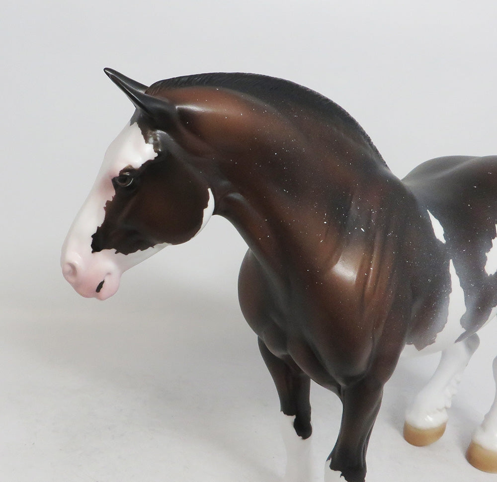 SABBY-LE-? PRE-ORDER SABINO HEAVY DRAFT MARE 11/16/18